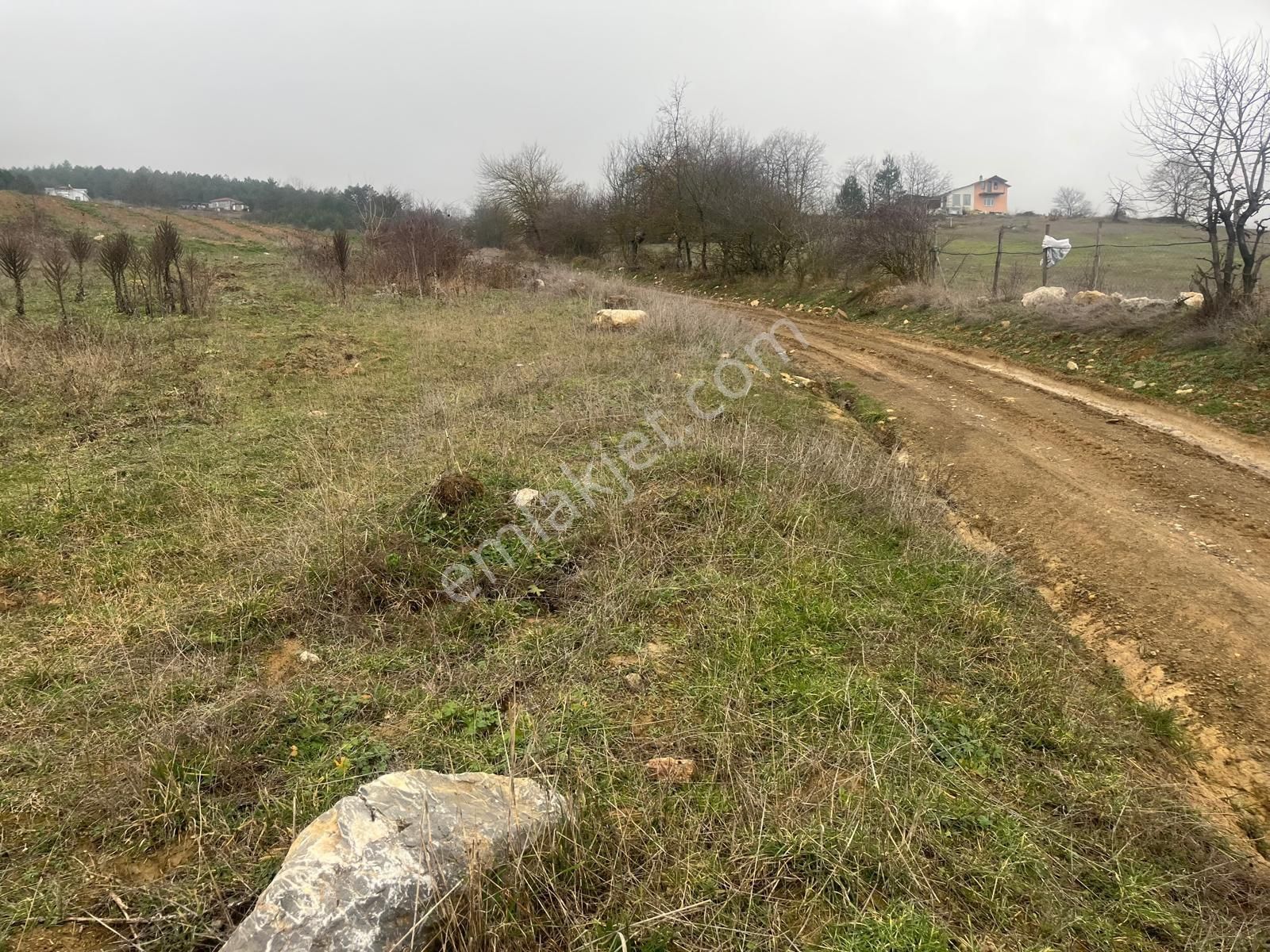 Sakarya Geyve Ilıca Mahallesı’nde 2107 Metre² Resmı Yola Cephelı Alabalık Tesısın Dıbınde Arsa - Görsel 3