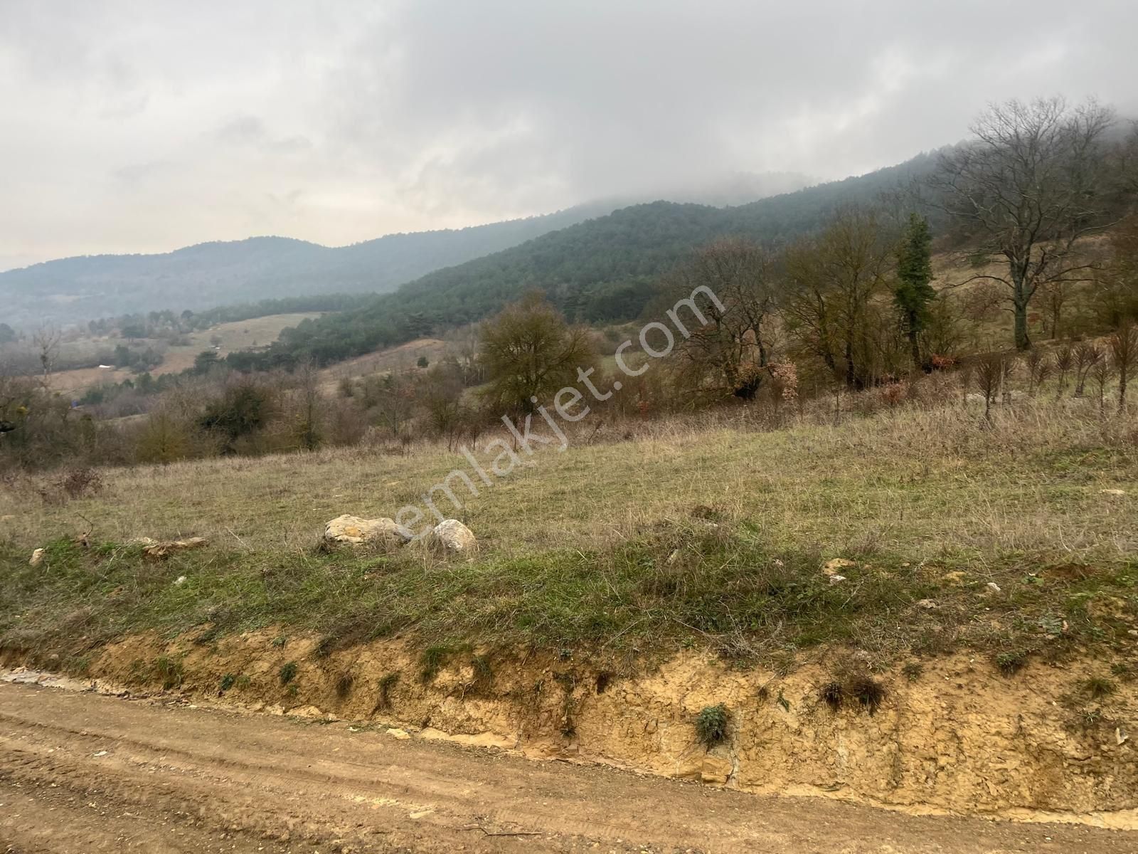 Sakarya Geyve Ilıca Mahallesı’nde 2107 Metre² Resmı Yola Cephelı Alabalık Tesısın Dıbınde Arsa - Görsel 11