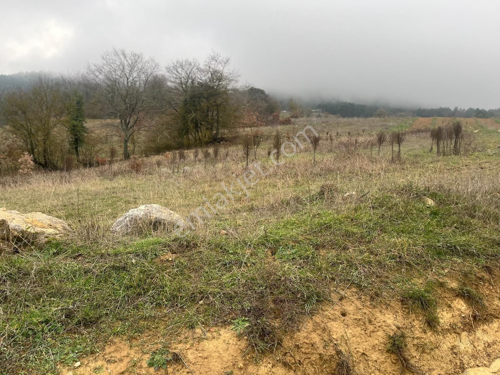 Sakarya Geyve Ilıca Mahallesı’nde 2107 Metre² Resmı Yola Cephelı Alabalık Tesısın Dıbınde Arsa - Görsel 8