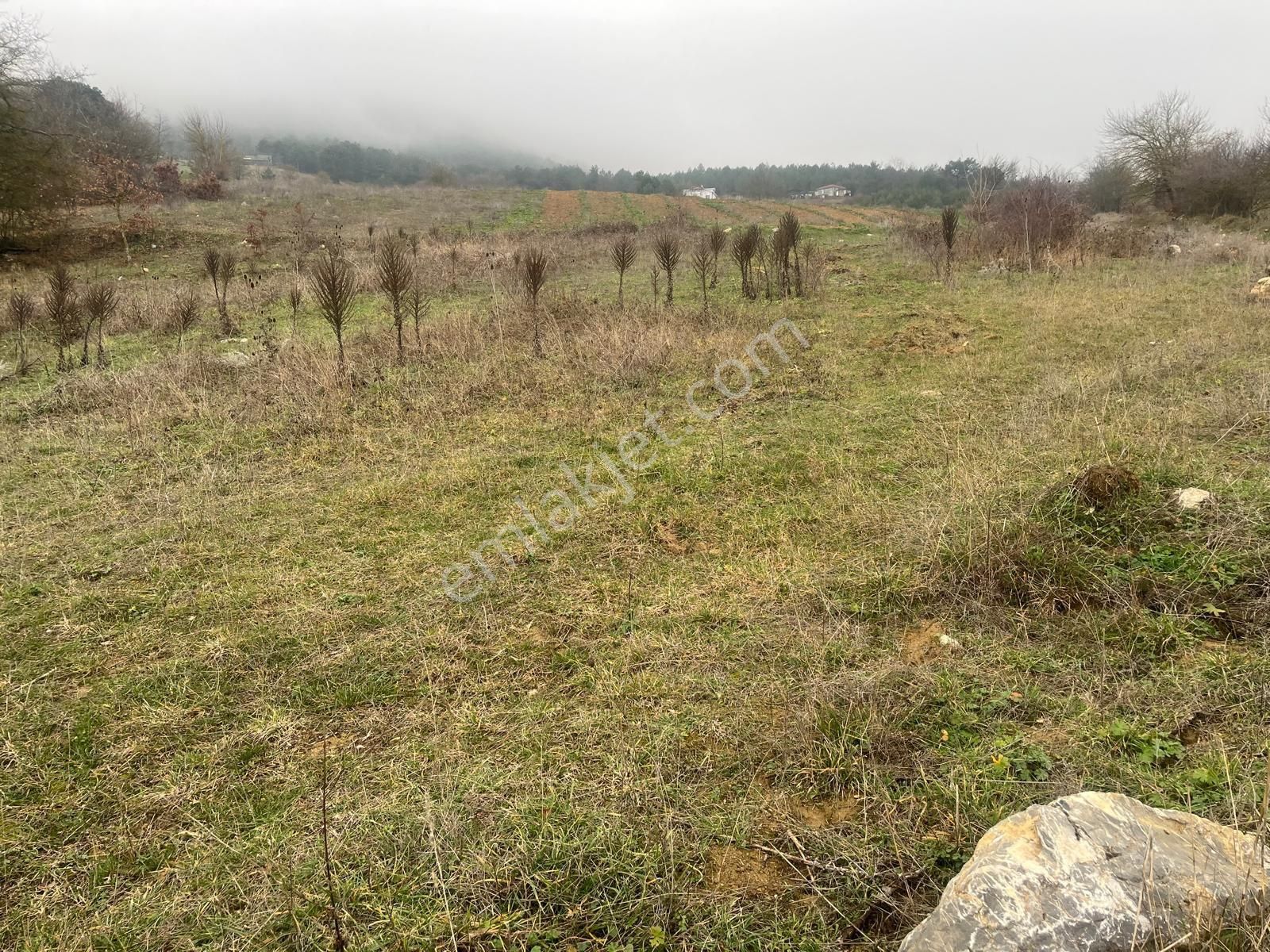 Sakarya Geyve Ilıca Mahallesı’nde 2107 Metre² Resmı Yola Cephelı Alabalık Tesısın Dıbınde Arsa - Görsel 6