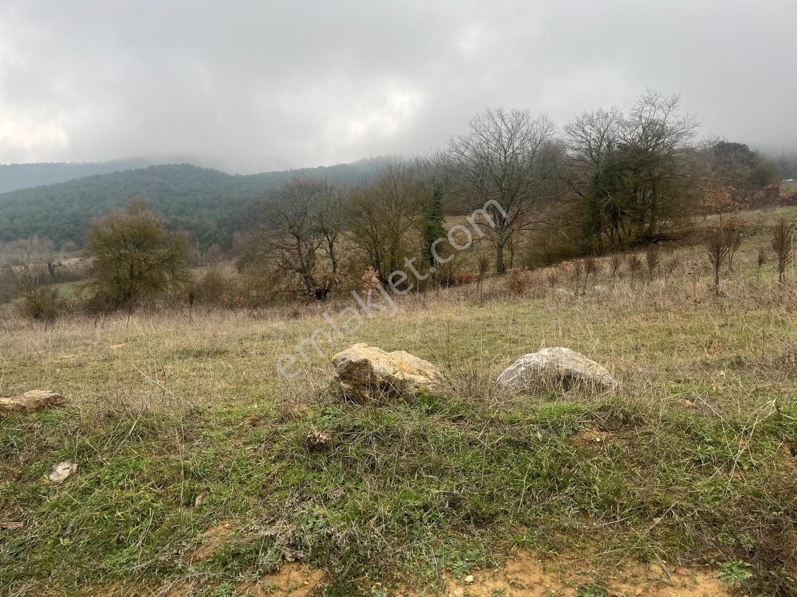 Sakarya Geyve Ilıca Mahallesı’nde 2107 Metre² Resmı Yola Cephelı Alabalık Tesısın Dıbınde Arsa - Görsel 7