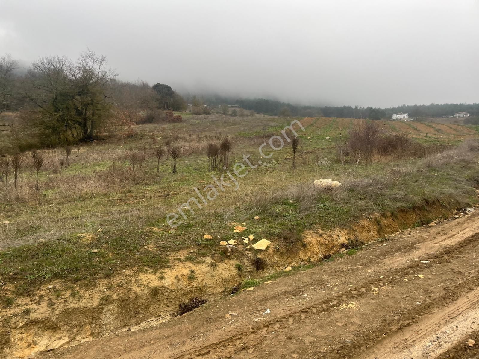 Sakarya Geyve Ilıca Mahallesı’nde 2107 Metre² Resmı Yola Cephelı Alabalık Tesısın Dıbınde Arsa - Görsel 13