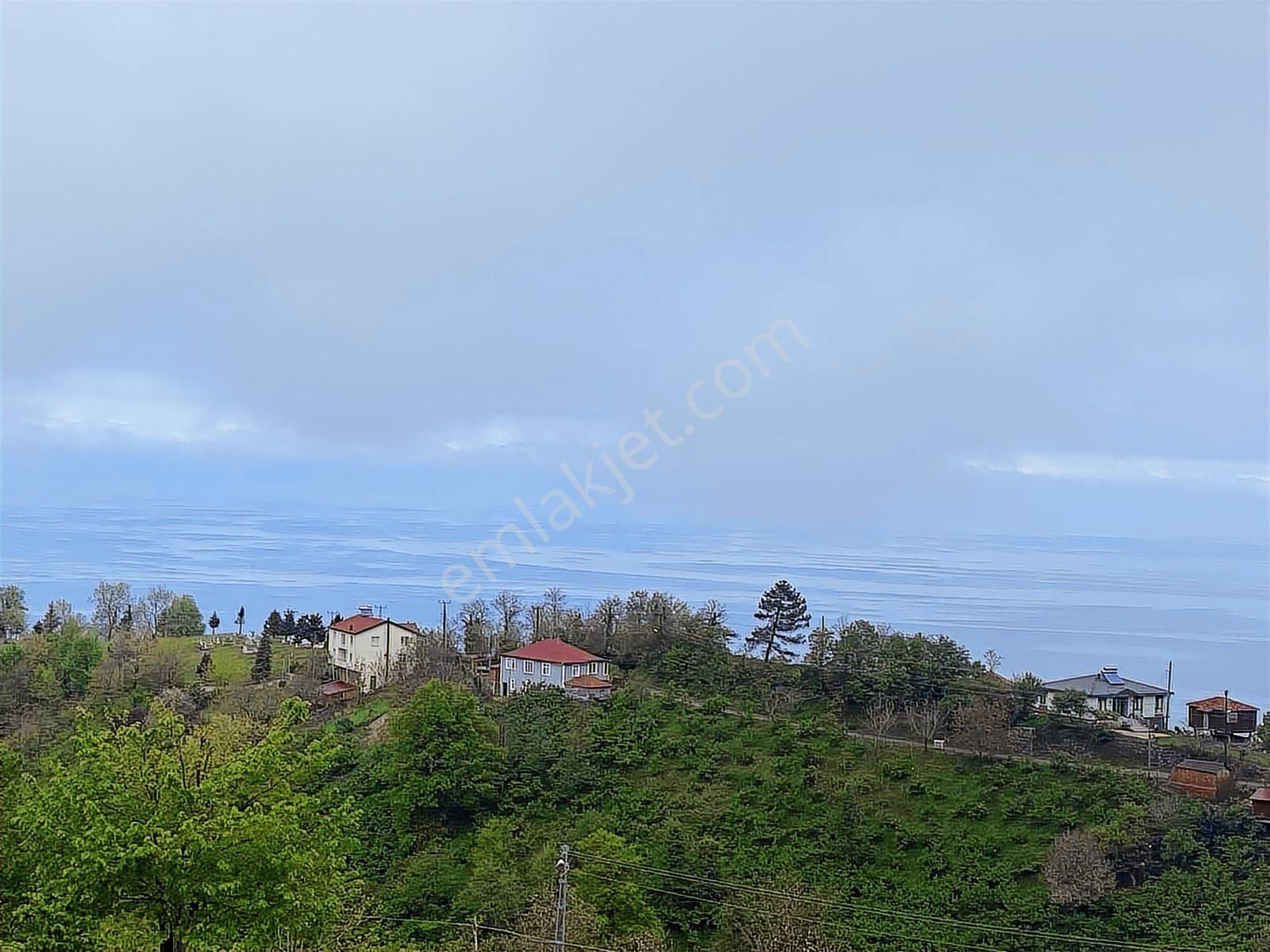 Tepe Gayrimenkulden Pesembe Caytepede Satilik Findik Bahcesi - Görsel 5