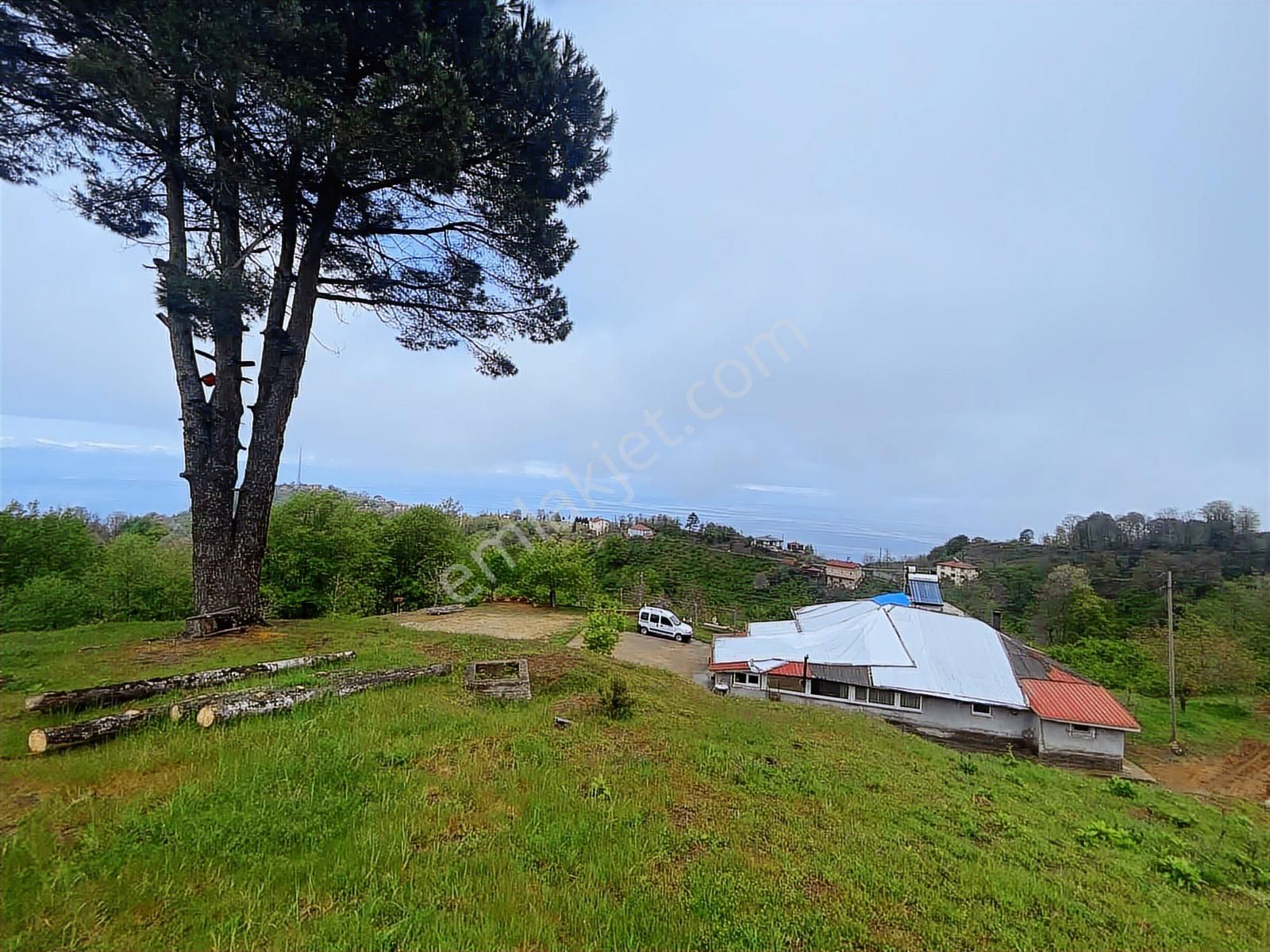 Tepe Gayrimenkulden Pesembe Caytepede Satilik Findik Bahcesi - Görsel 6