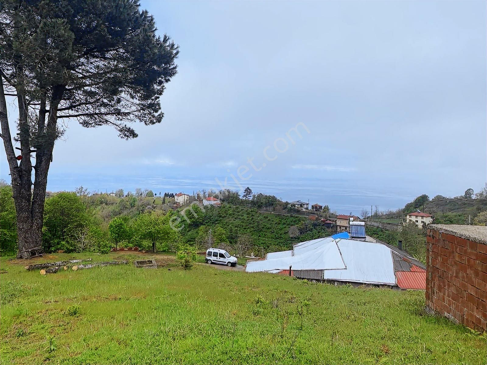 Tepe Gayrimenkulden Pesembe Caytepede Satilik Findik Bahcesi - Görsel 8