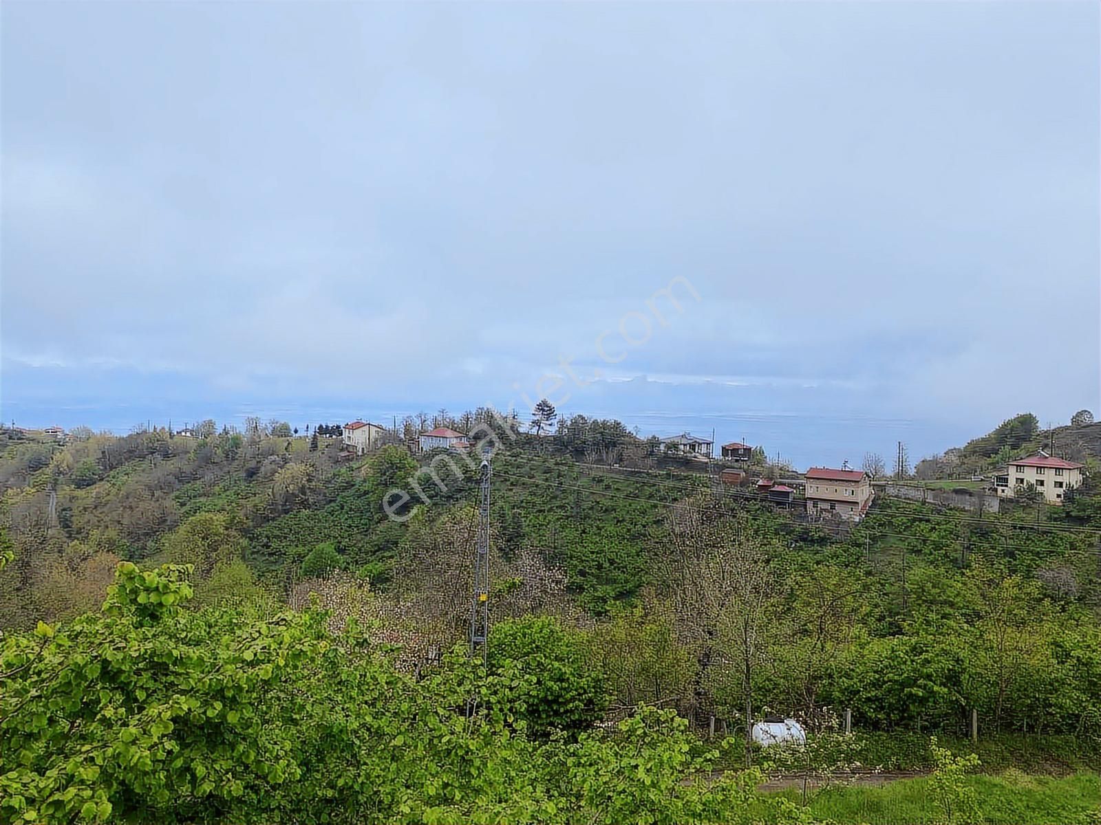 Tepe Gayrimenkulden Pesembe Caytepede Satilik Findik Bahcesi - Görsel 11