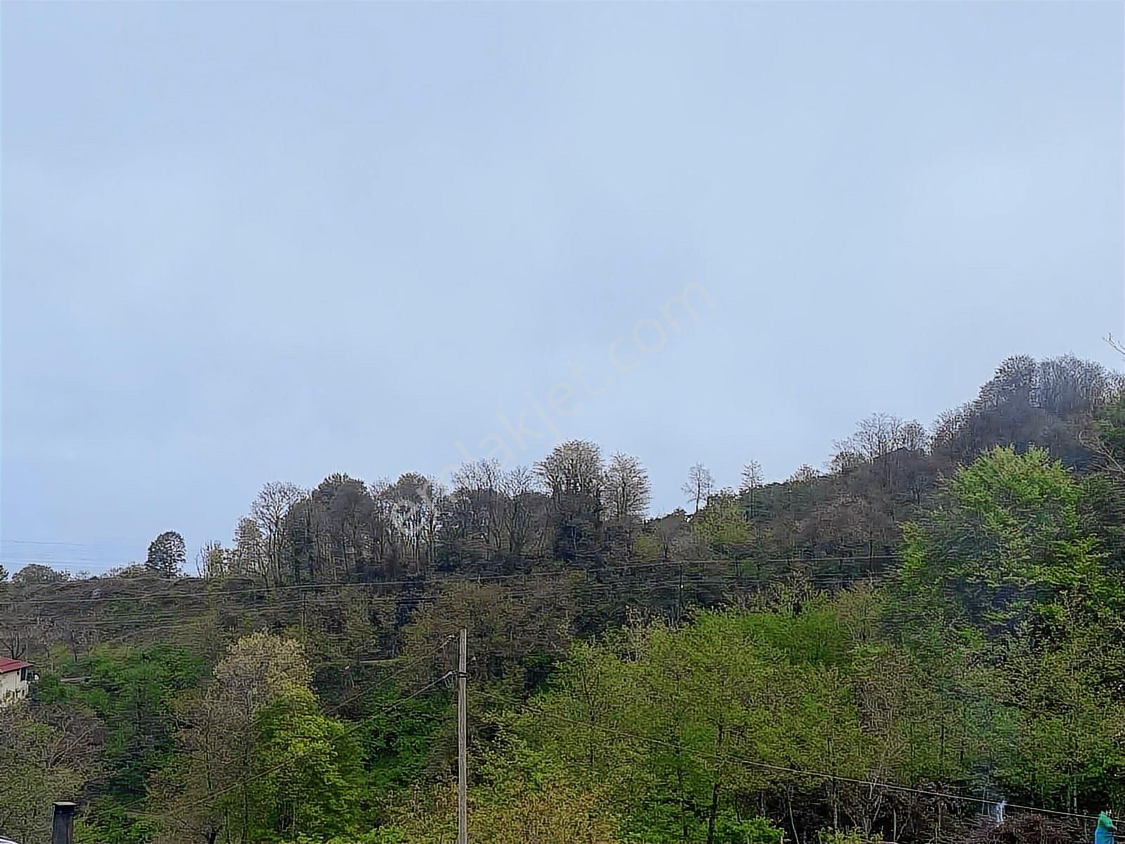 Tepe Gayrimenkulden Pesembe Caytepede Satilik Findik Bahcesi - Görsel 15