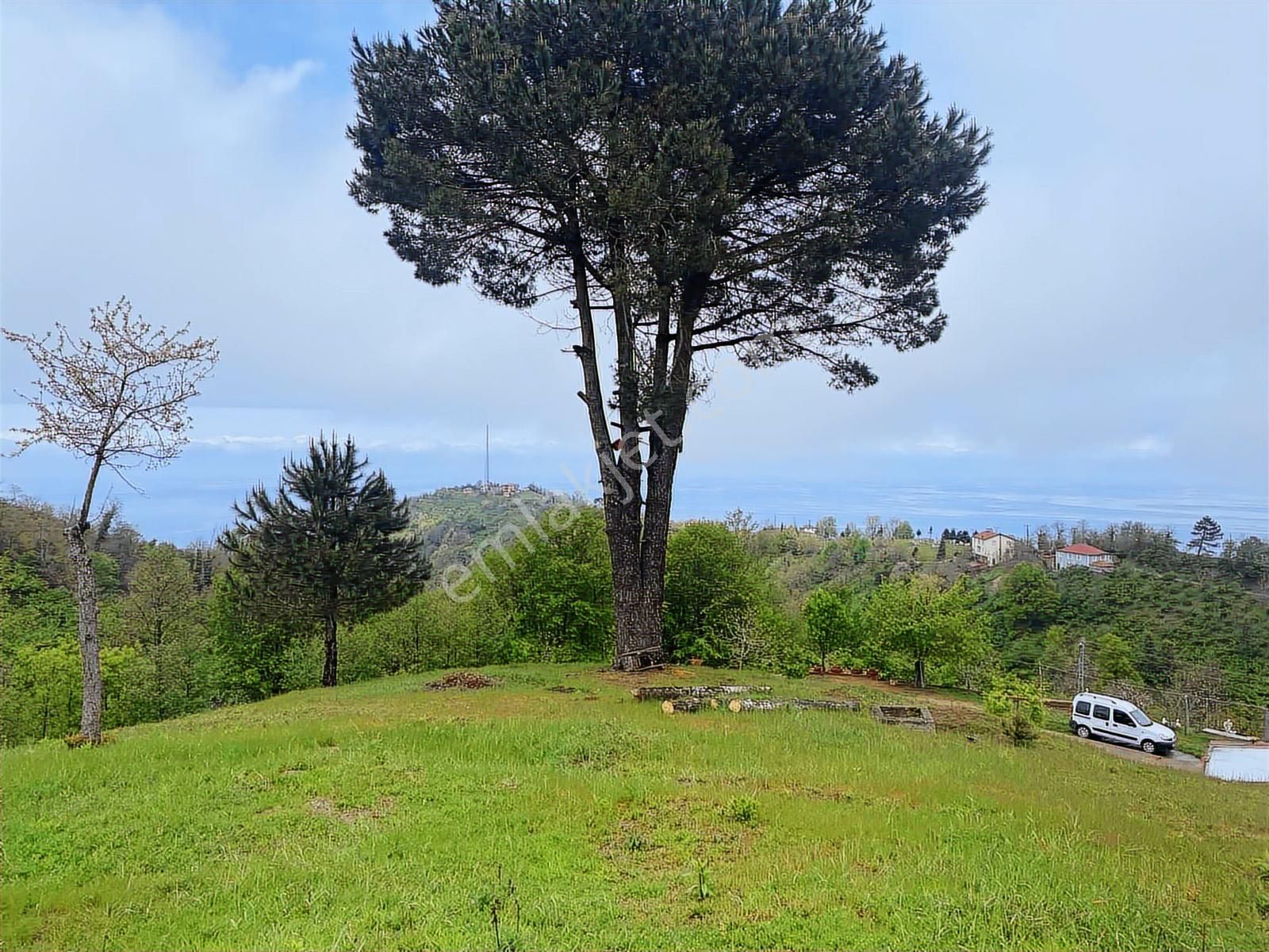 Tepe Gayrimenkulden Pesembe Caytepede Satilik Findik Bahcesi - Görsel 3