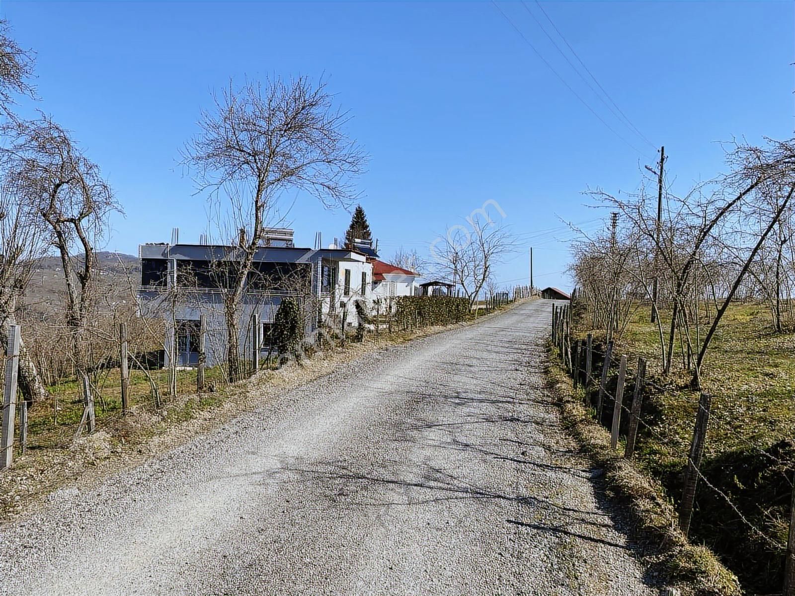 Ulubey Findikli Mah De Satilik Findik Bahcesi - Görsel 8