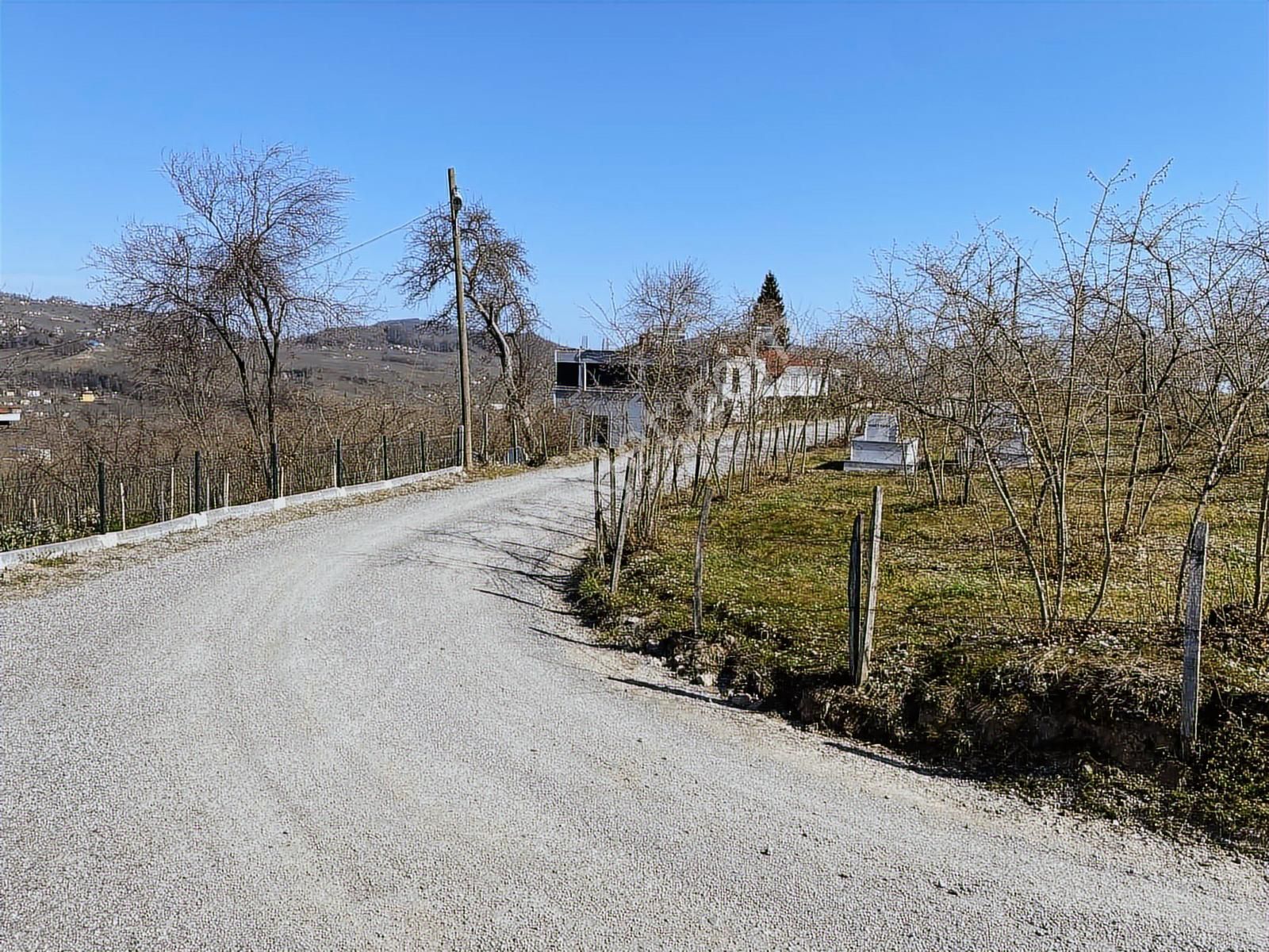 Ulubey Findikli Mah De Satilik Findik Bahcesi - Görsel 2