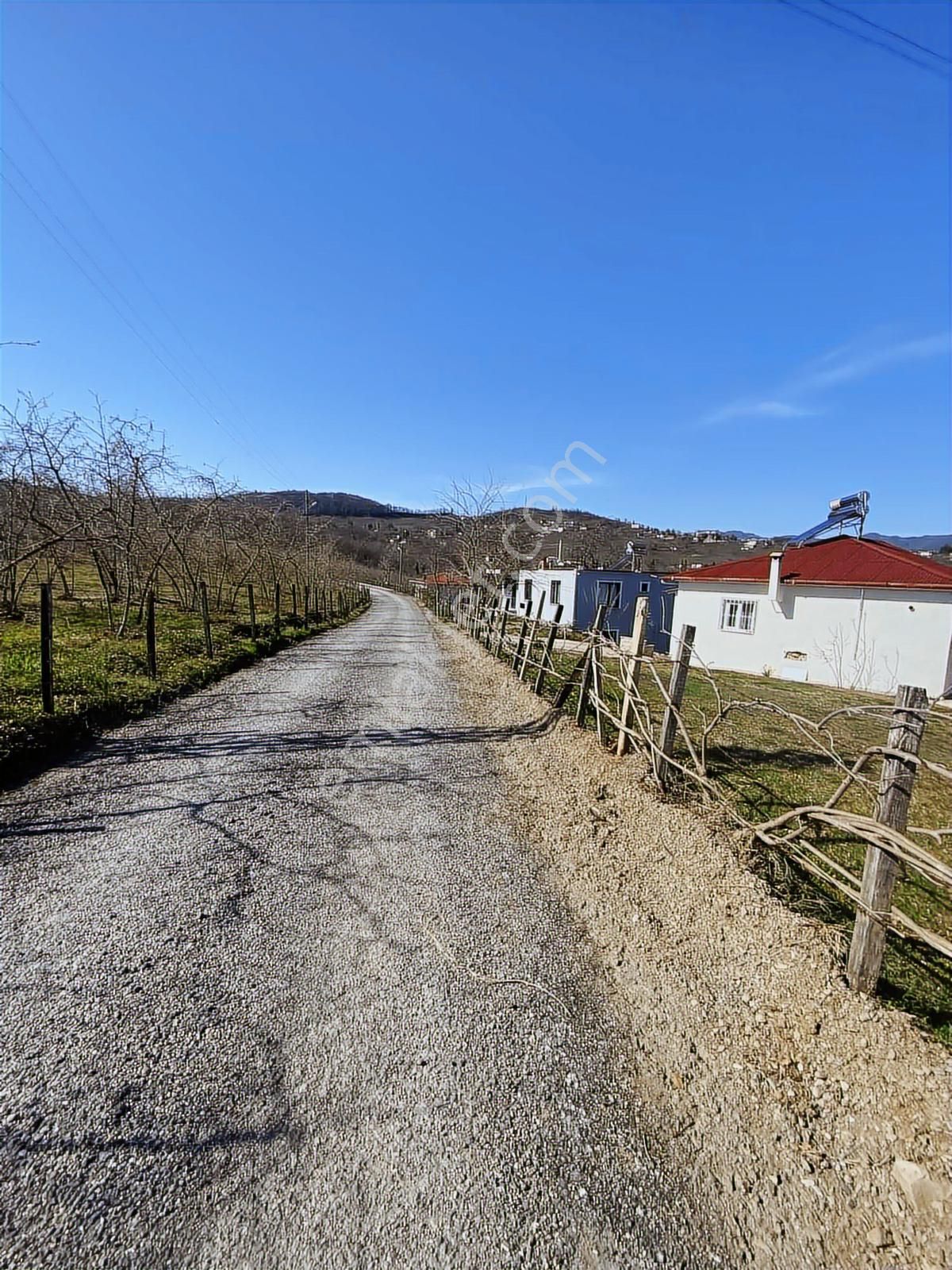 Ulubey Findikli Mah De Satilik Findik Bahcesi - Görsel 7