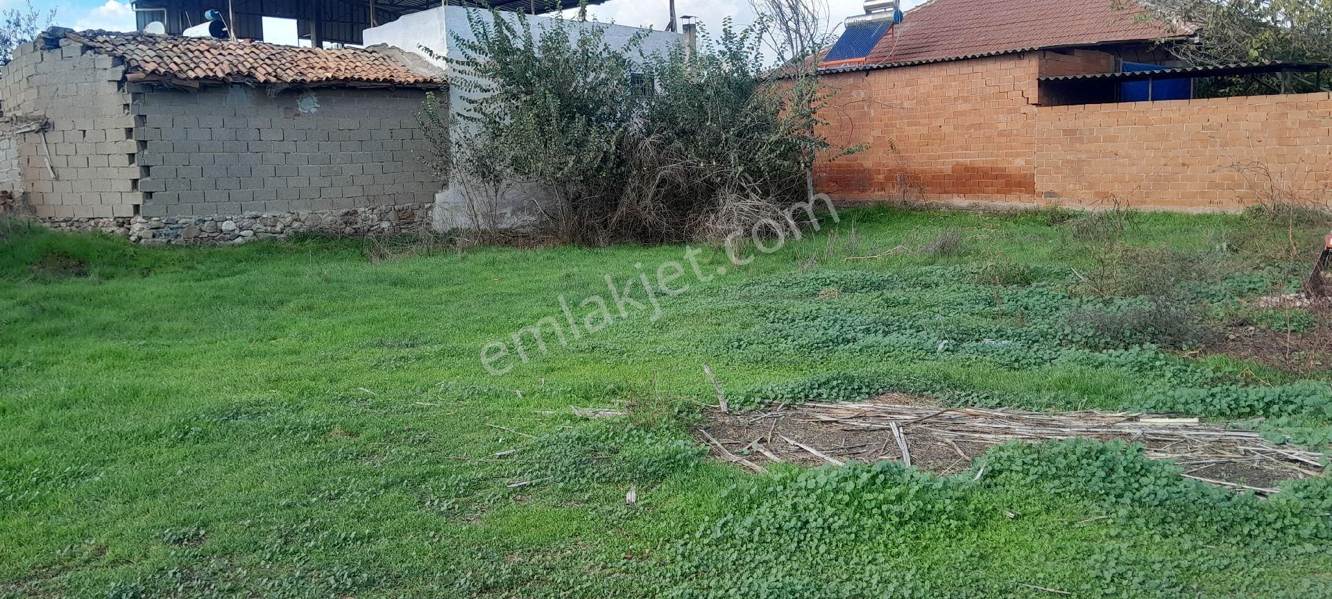 Işıklı Mah Köy İçinde - Görsel 5