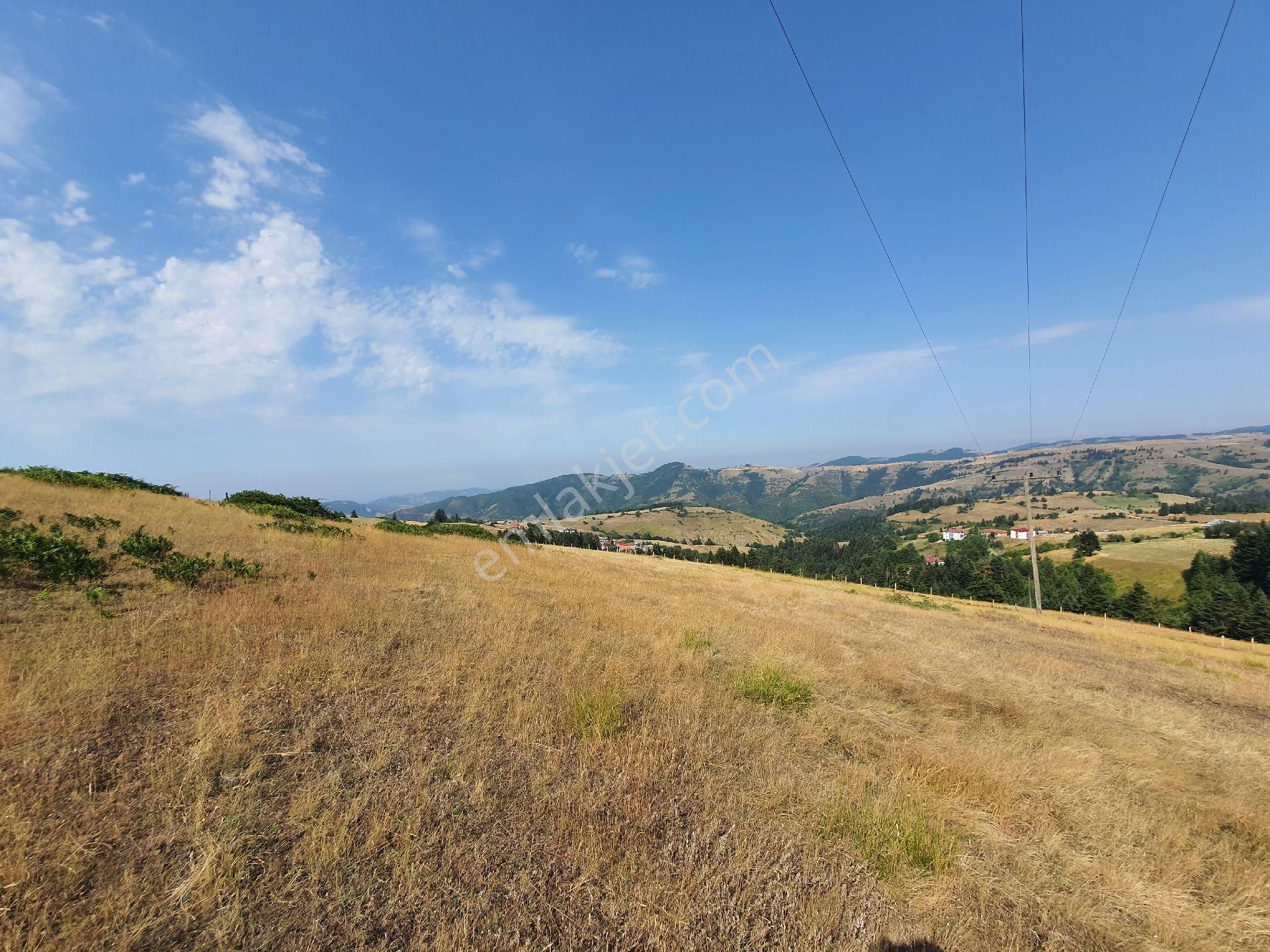 Yıldız Gayrimenkul'den Ev Yapımına Müsait Manzaralı 2500 M² Tarla