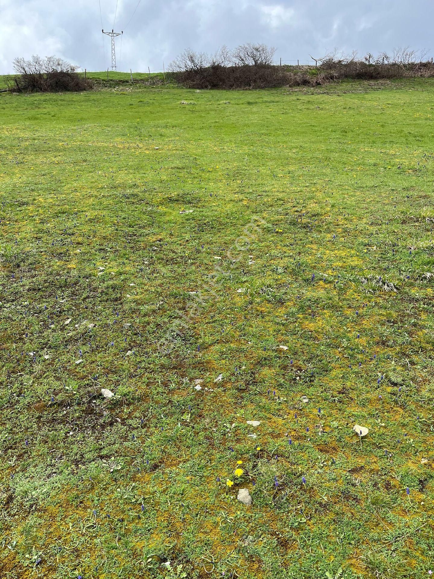 Yıldız Gayrimenkul'den Ev Yapımına Müsait Manzaralı 2500 M² Tarla - Görsel 10