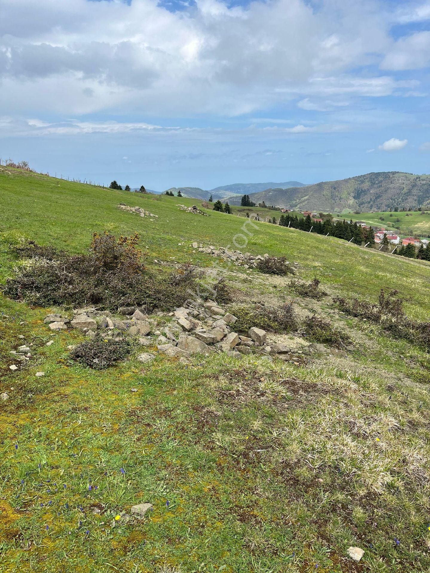 Yıldız Gayrimenkul'den Ev Yapımına Müsait Manzaralı 2500 M² Tarla - Görsel 9