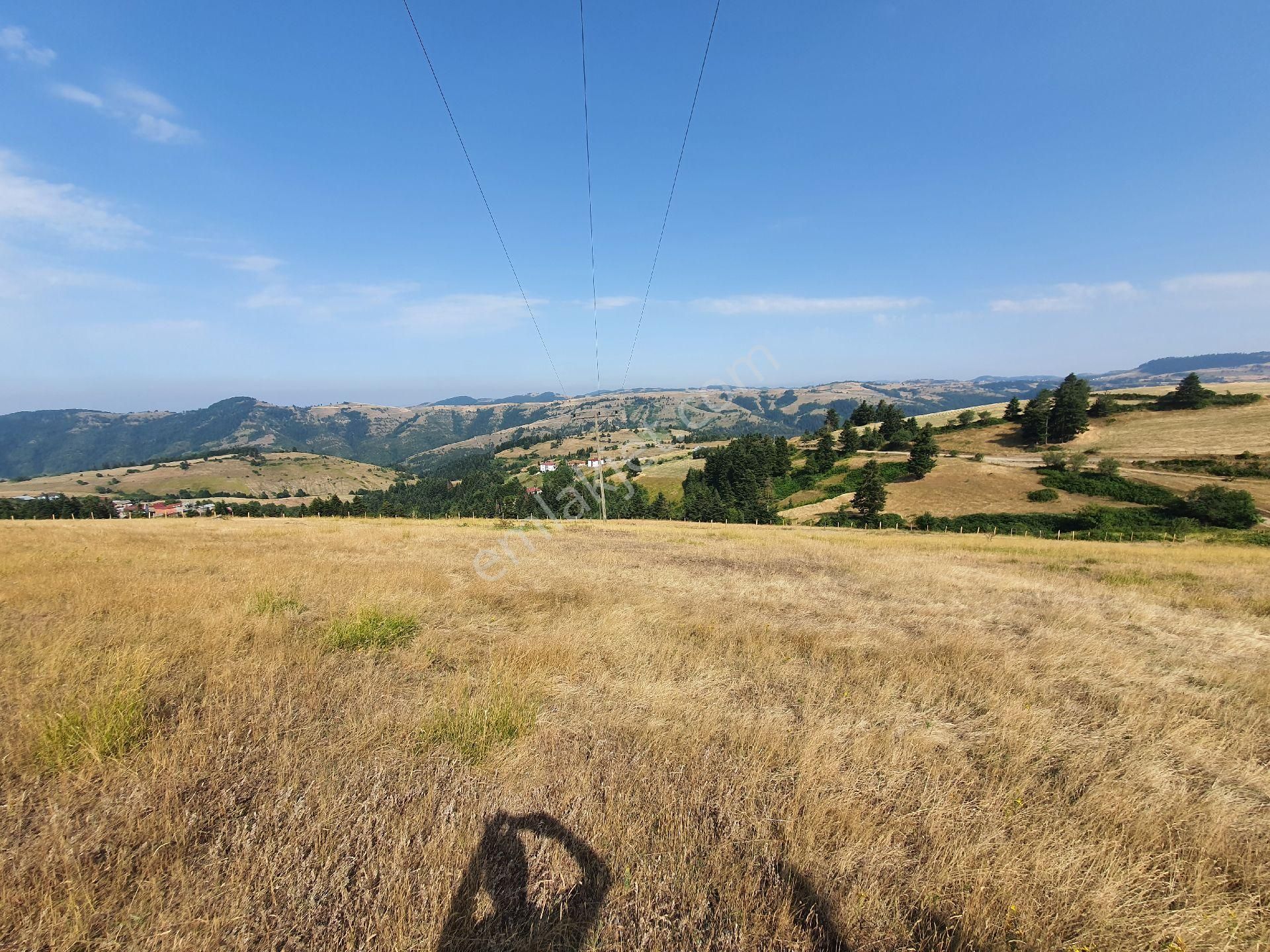 Yıldız Gayrimenkul'den Ev Yapımına Müsait Manzaralı 2500 M² Tarla - Görsel 4