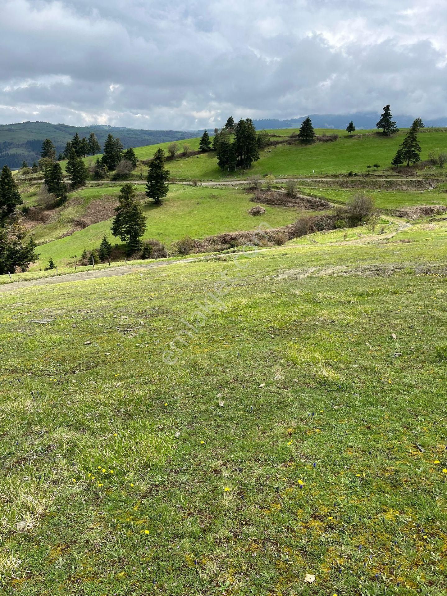 Yıldız Gayrimenkul'den Ev Yapımına Müsait Manzaralı 2500 M² Tarla - Görsel 6