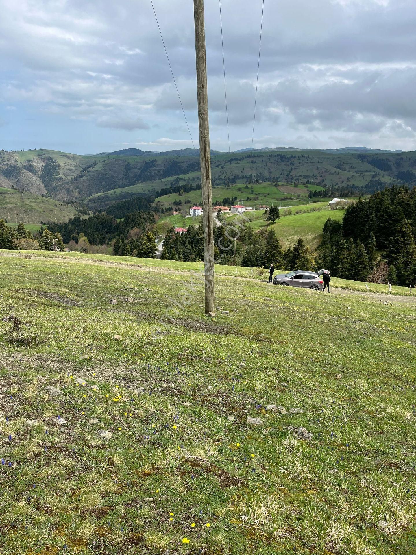 Yıldız Gayrimenkul'den Ev Yapımına Müsait Manzaralı 2500 M² Tarla - Görsel 5