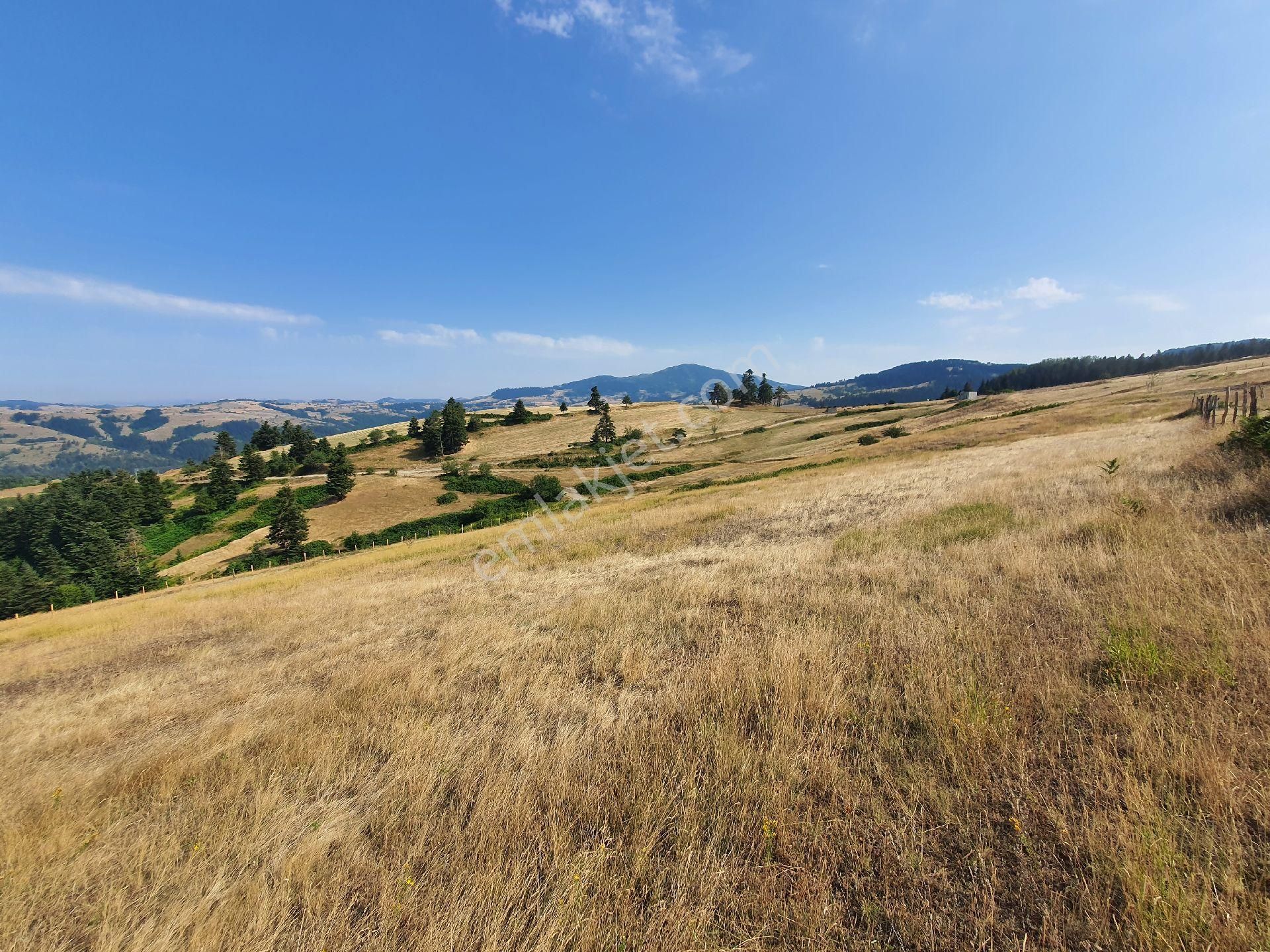 Yıldız Gayrimenkul'den Ev Yapımına Müsait Manzaralı 2500 M² Tarla - Görsel 2
