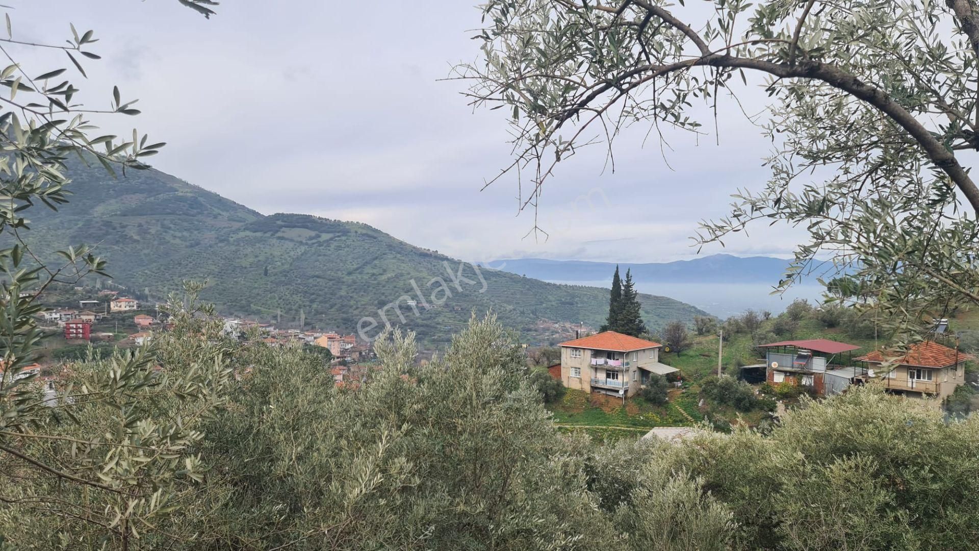 Antika Gayrimenkul'den Bademli De Satılık 326 M2 İmarlı Arsa - Görsel 7