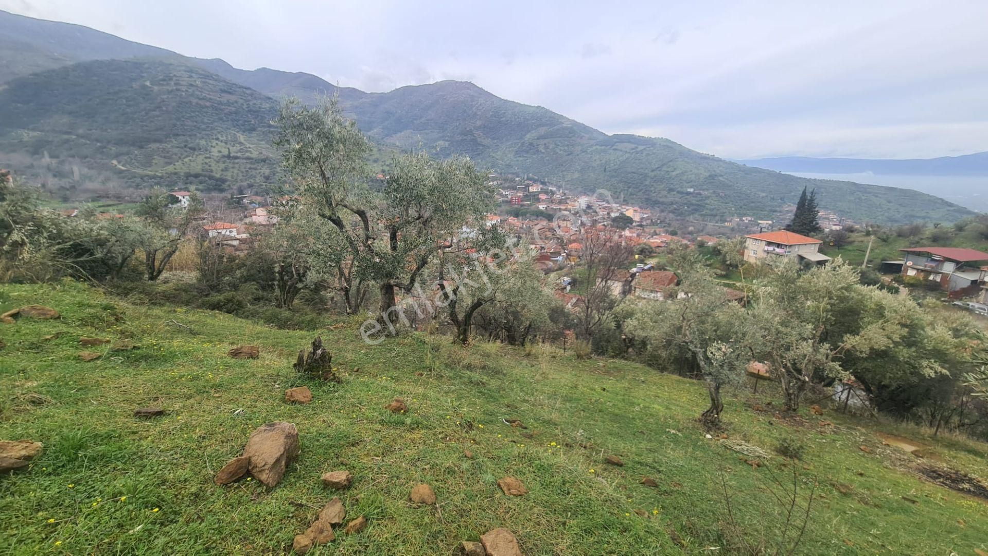 Antika Gayrimenkul'den Bademli De Satılık 326 M2 İmarlı Arsa - Görsel 22