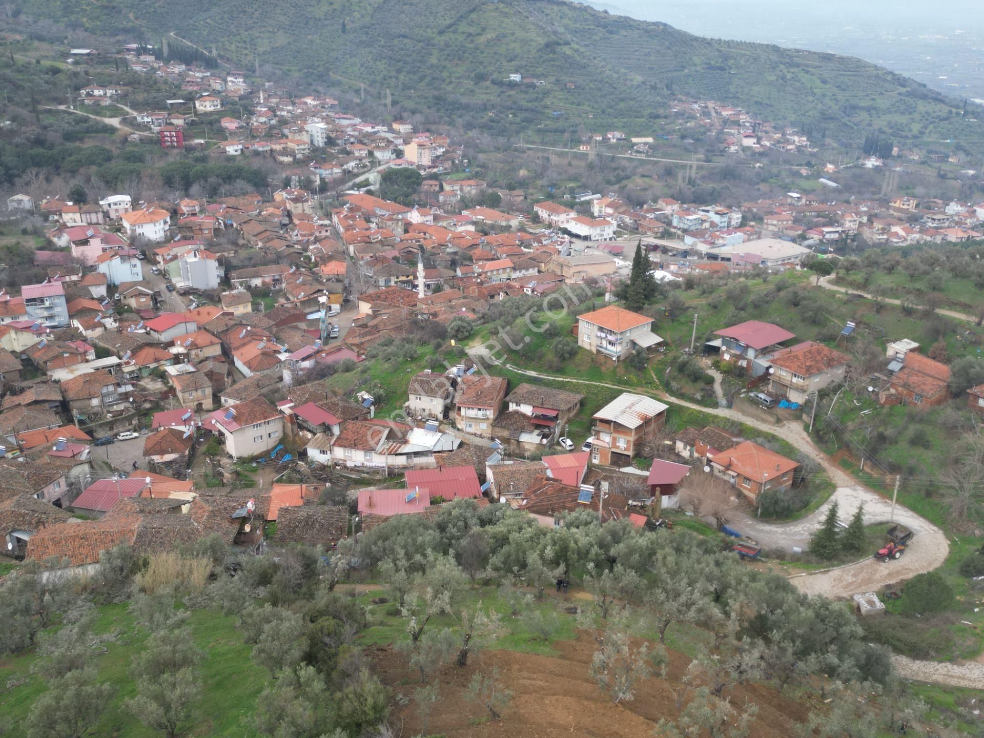 Antika Gayrimenkul'den Bademli De Satılık 326 M2 İmarlı Arsa - Görsel 17