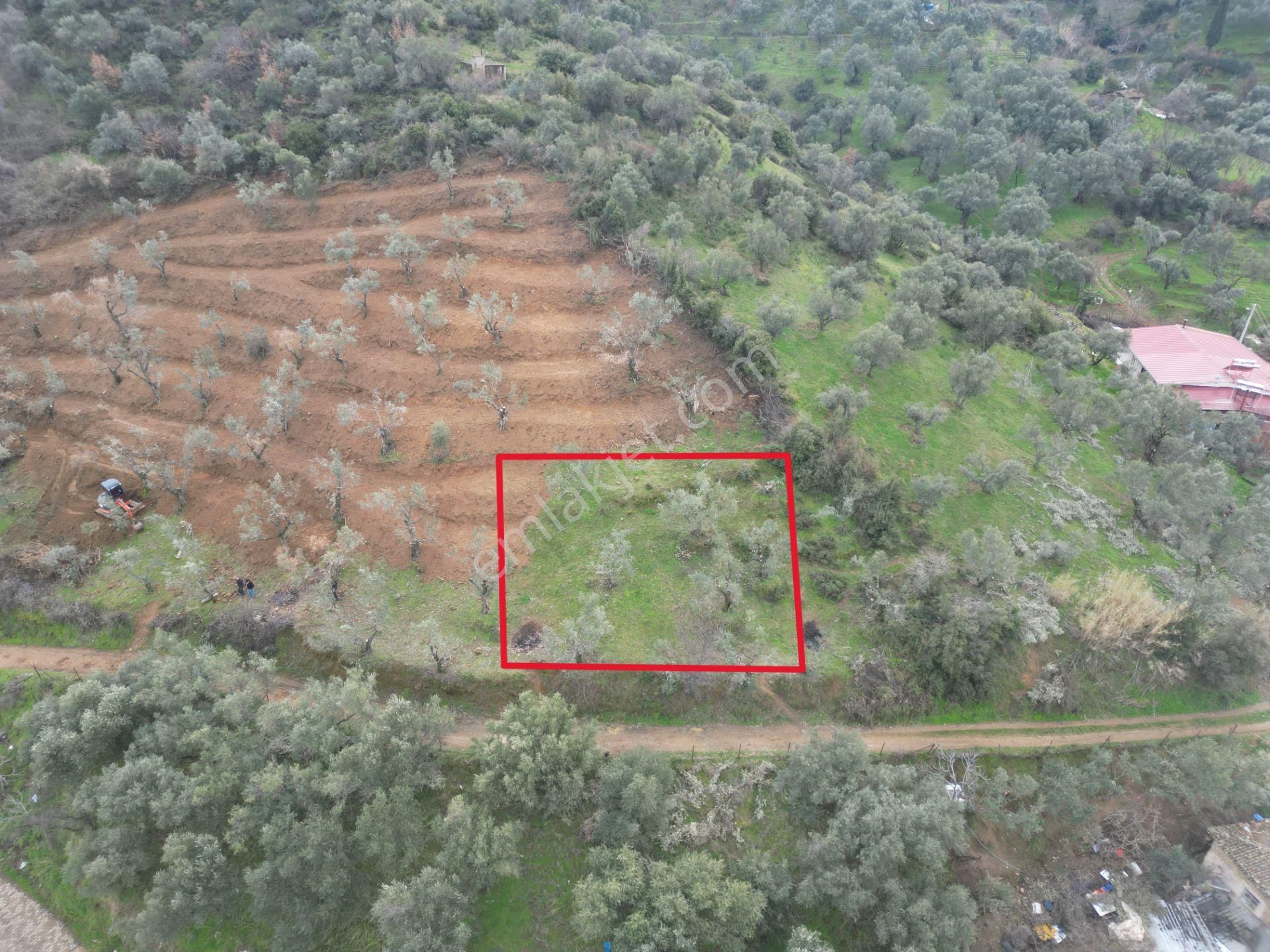 Antika Gayrimenkul'den Bademli De Satılık 326 M2 İmarlı Arsa - Görsel 4