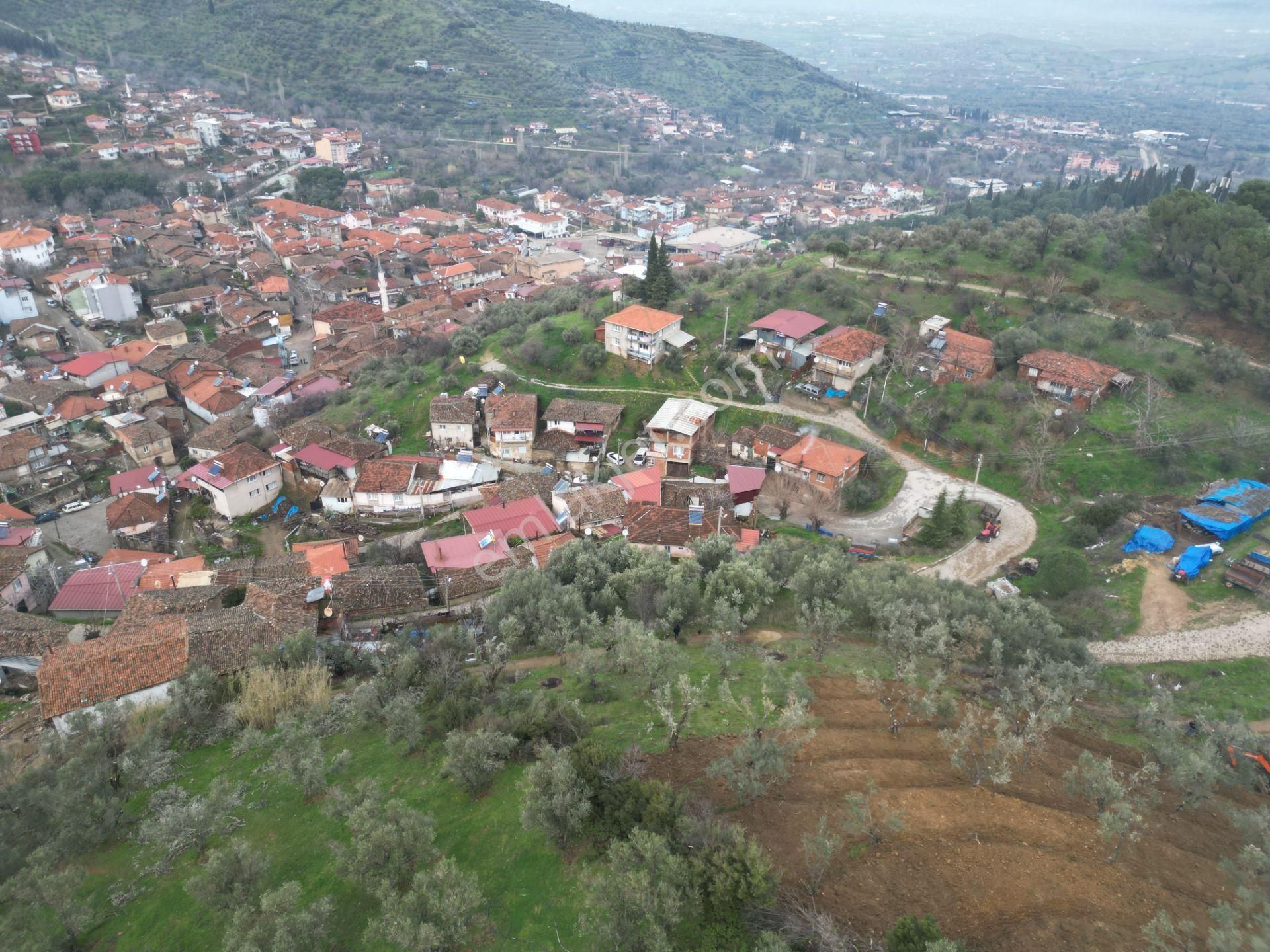 Antika Gayrimenkul'den Bademli De Satılık 326 M2 İmarlı Arsa