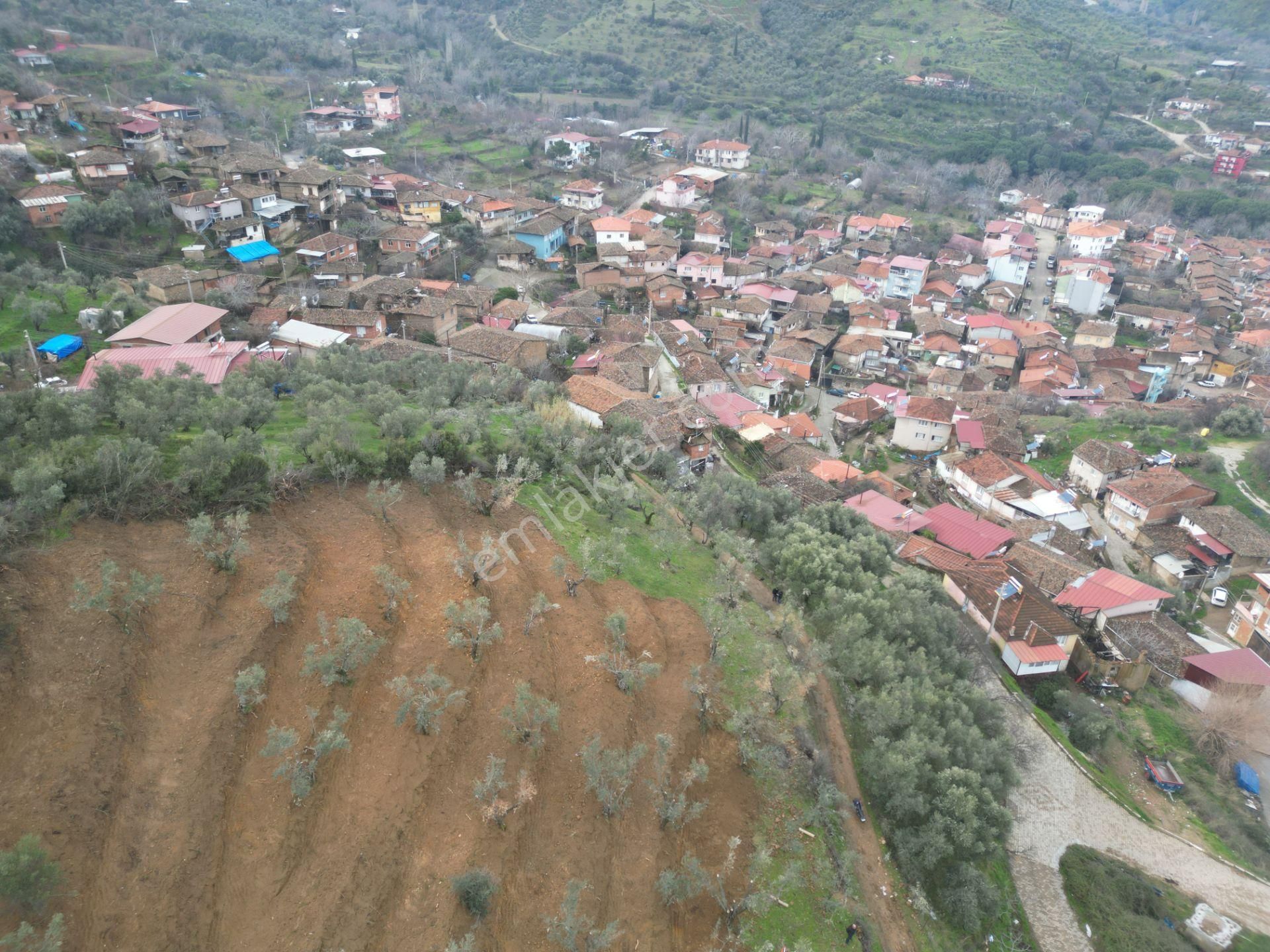 Antika Gayrimenkul'den Bademli De Satılık 326 M2 İmarlı Arsa - Görsel 11