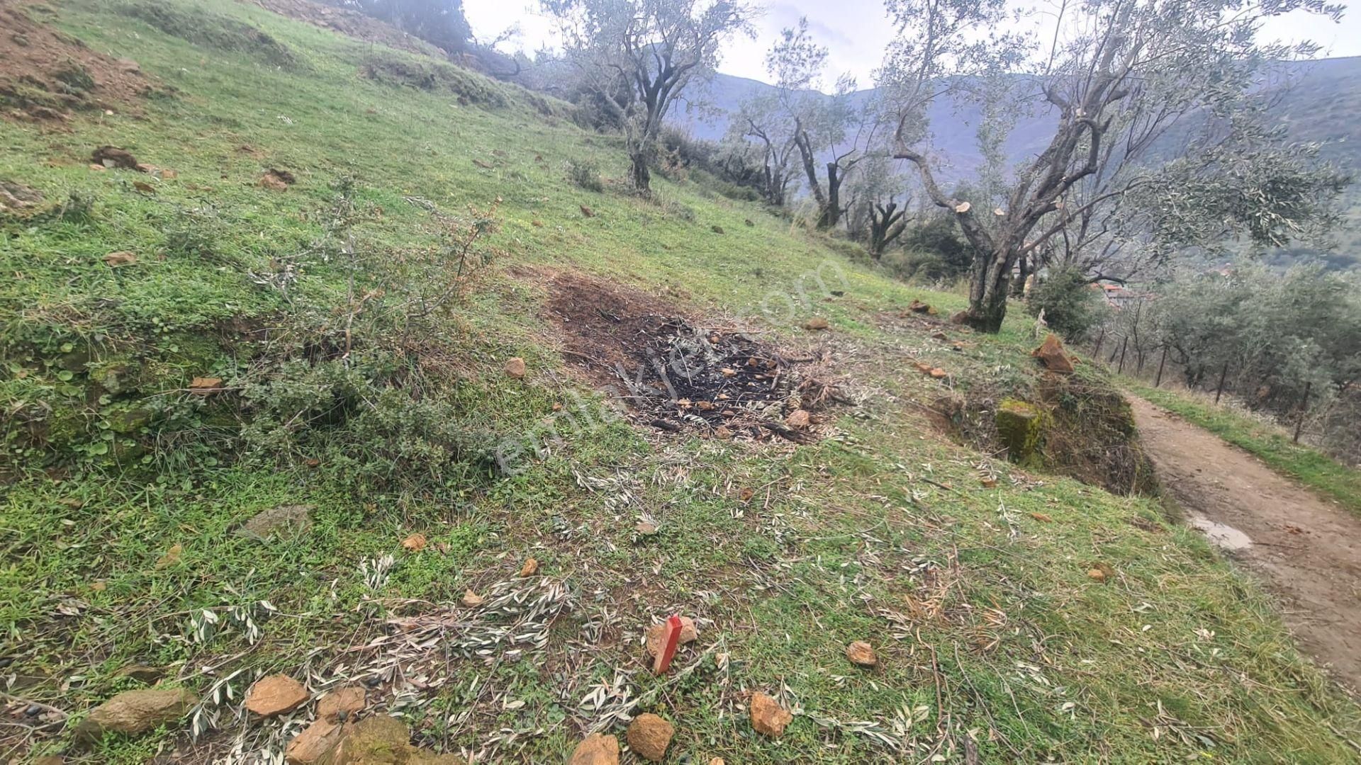 Antika Gayrimenkul'den Bademli De Satılık 326 M2 İmarlı Arsa - Görsel 19