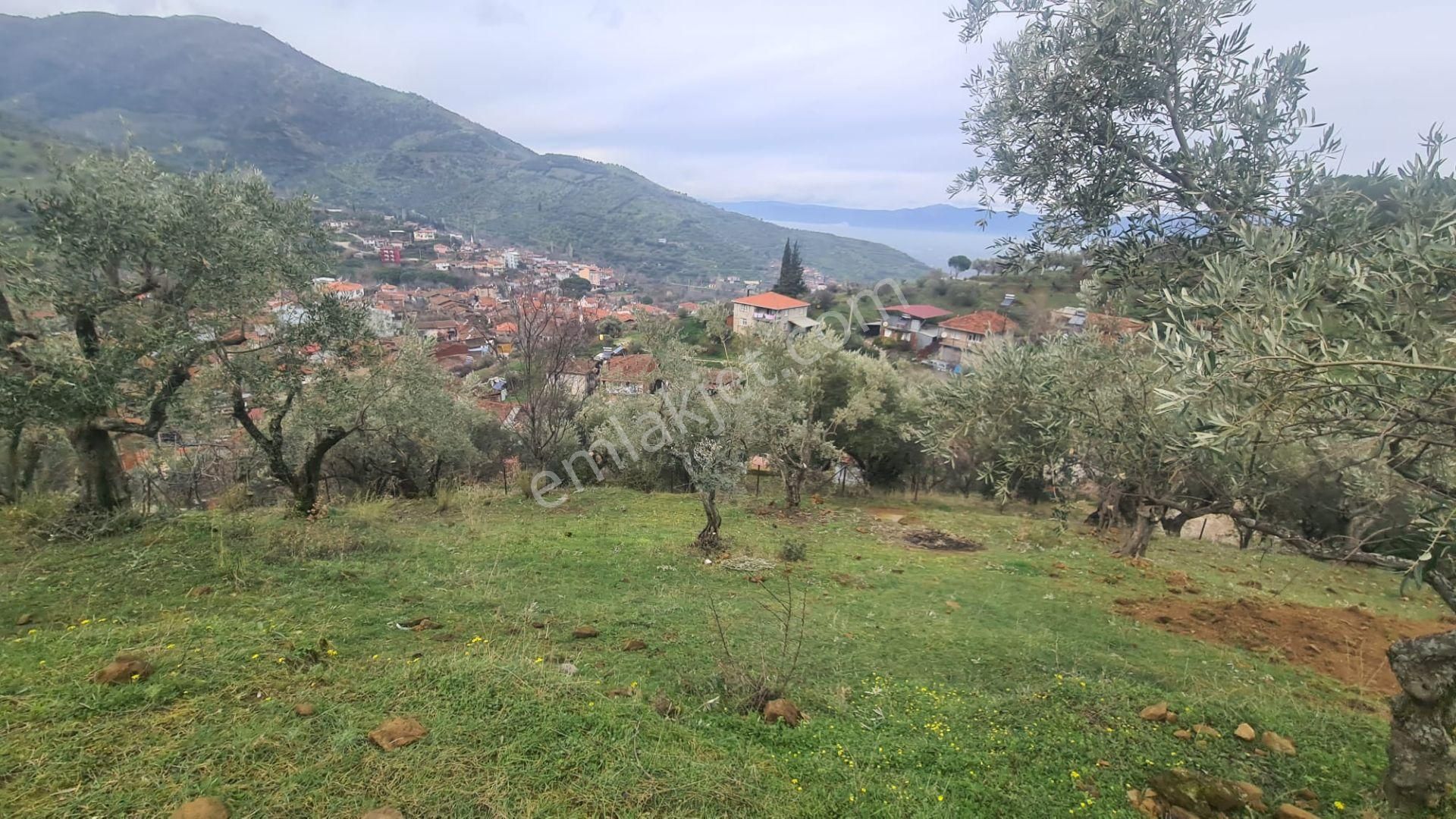 Antika Gayrimenkul'den Bademli De Satılık 326 M2 İmarlı Arsa - Görsel 24