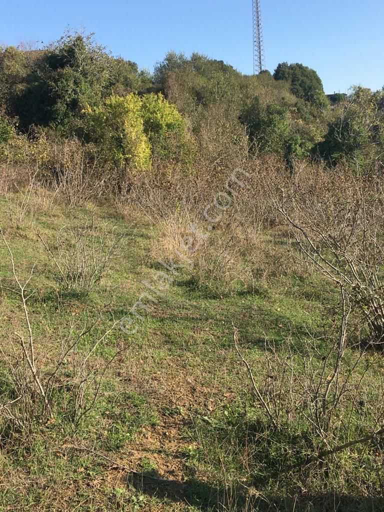 Şile Karacaköyde Deniz Manzaralı %30 İmarlı 1305m2 Satılık Arsa - Görsel 5