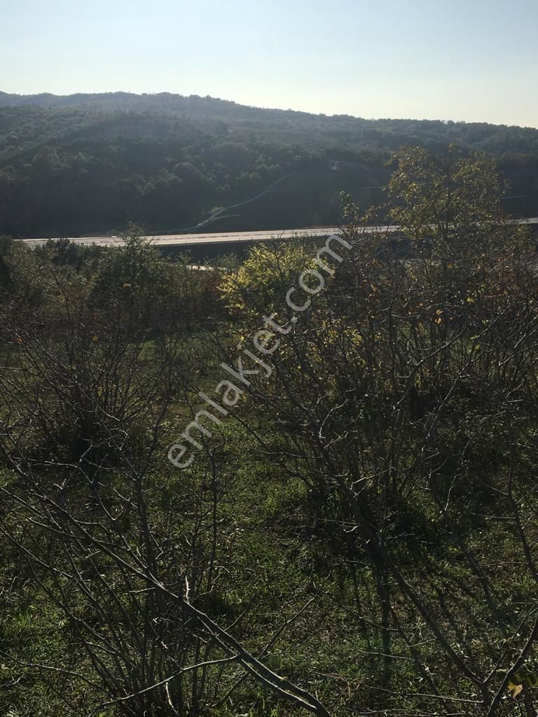 Şile Karacaköyde Deniz Manzaralı %30 İmarlı 1305m2 Satılık Arsa - Görsel 4