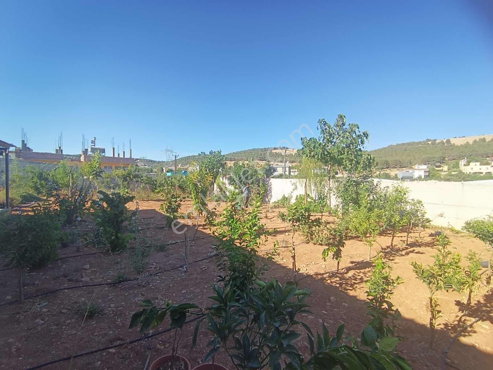 Fiyat Düştü Güllübağ 'da Yatırımlık Uygun Arsa ( Mehmet Demir ) - Görsel 12