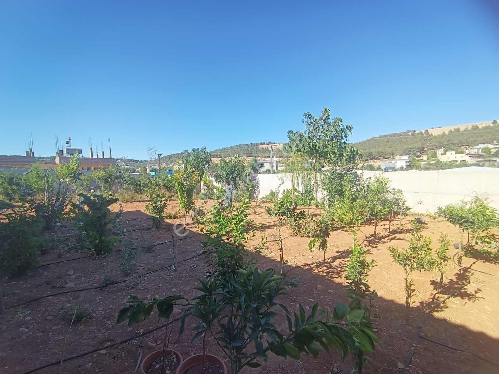 Fiyat Düştü Güllübağ 'da Yatırımlık Uygun Arsa ( Mehmet Demir ) - Görsel 11