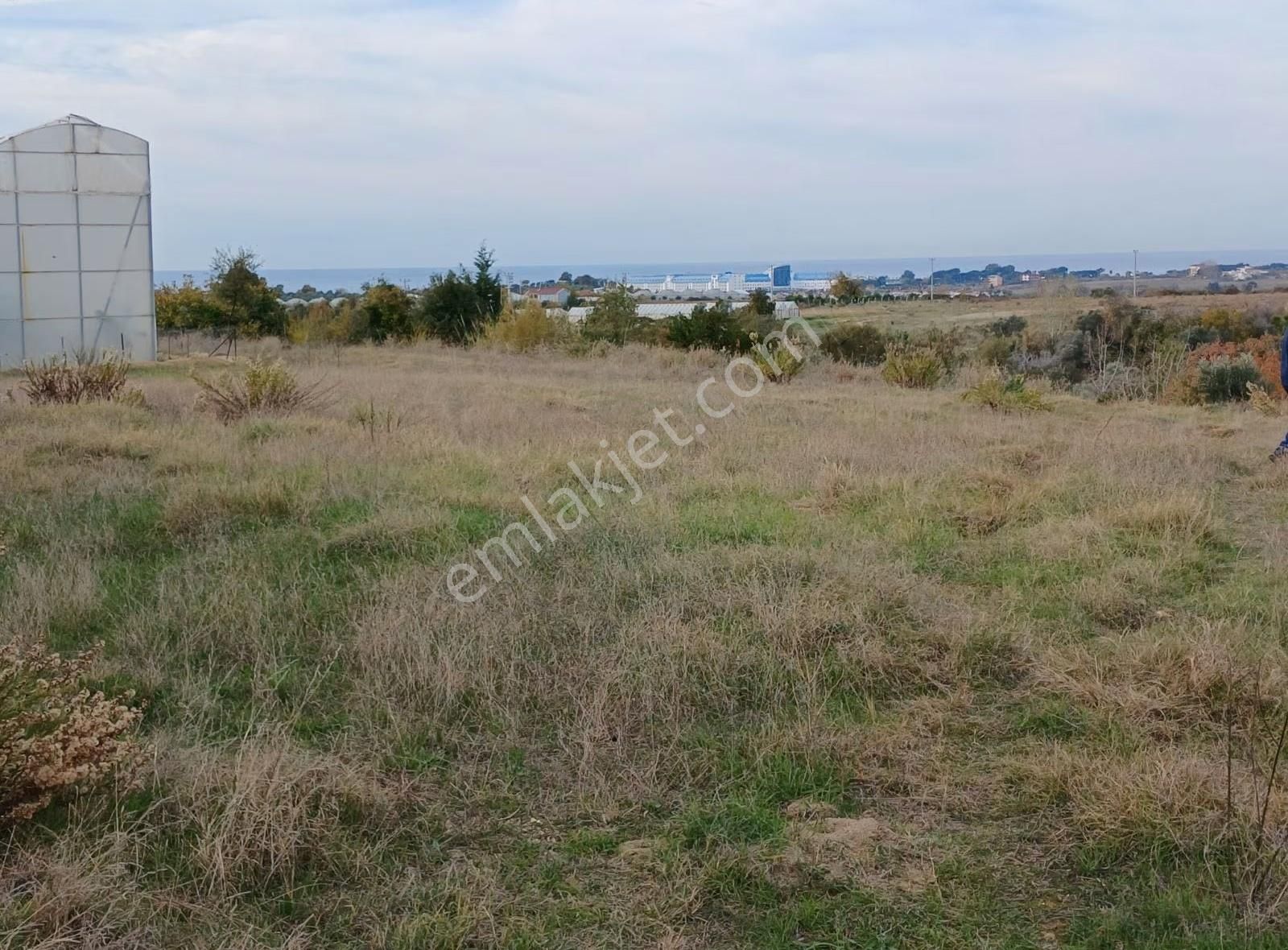 Hacıisalı Köyünde Satılık Tek Tapu 1200 M² Tarla