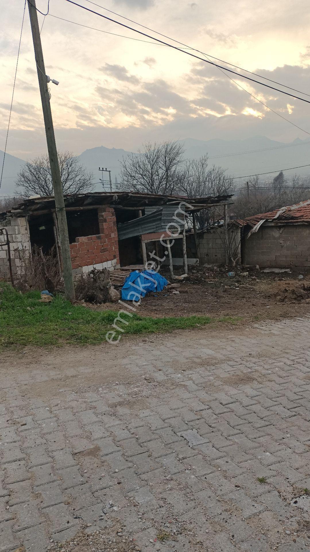 Tercih'ten Karakurt'ta Yol Cepheli Satılık Parsel Ve Binası - Görsel 6
