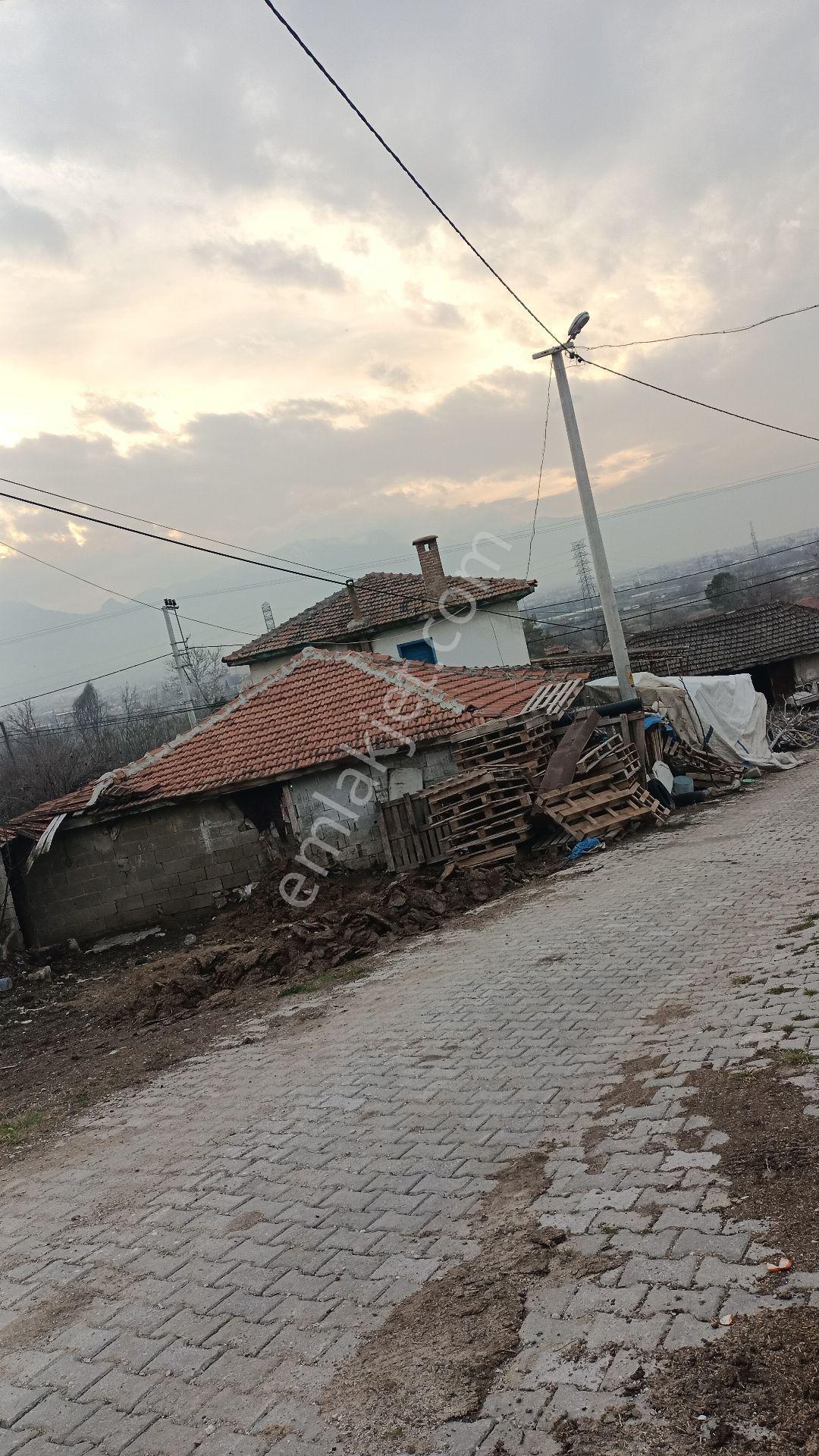 Tercih'ten Karakurt'ta Yol Cepheli Satılık Parsel Ve Binası - Görsel 7