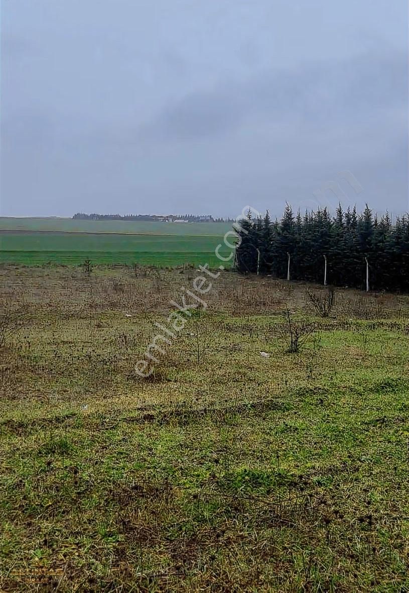 Satılık Arsa 2.100m2 - Görsel 3