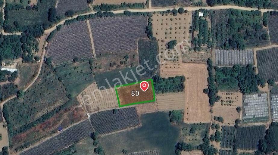 Aydınlık Emlak'tan Kurşunlu'da Yerleşime Yakın 1.712 M² Tarla - Görsel 8