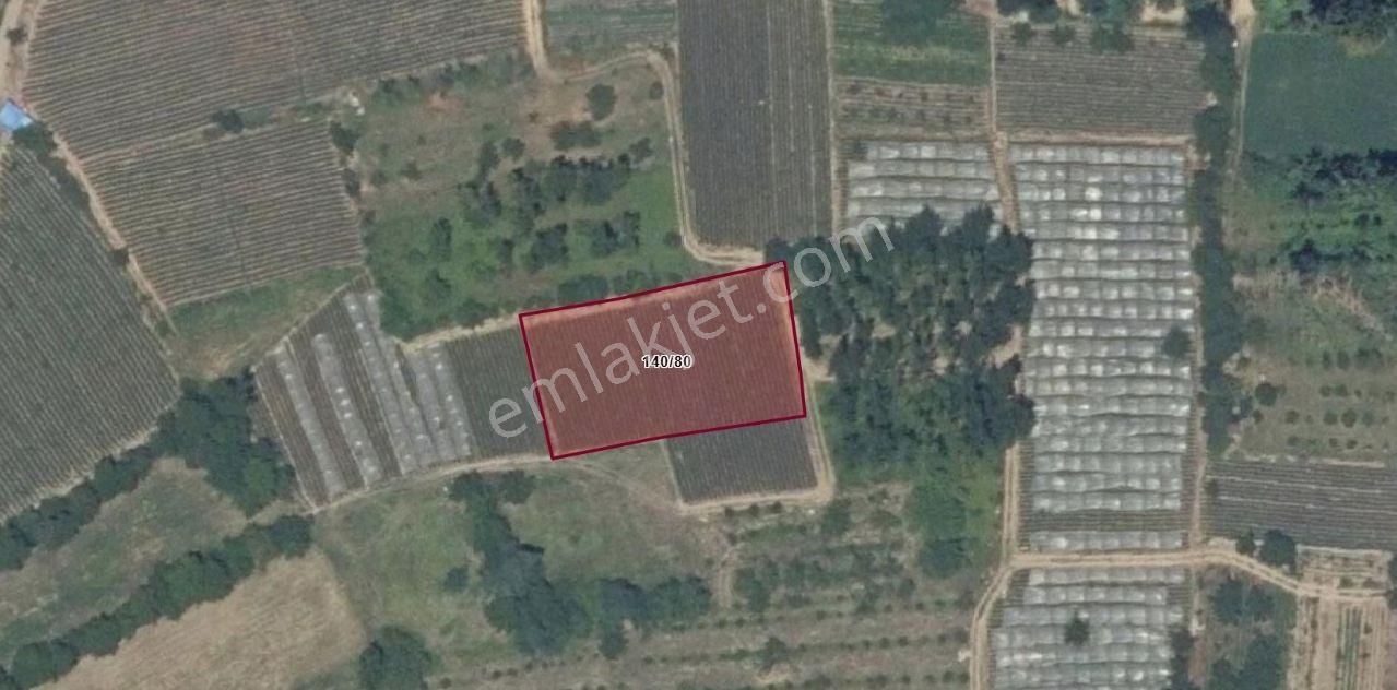 Aydınlık Emlak'tan Kurşunlu'da Yerleşime Yakın 1.712 M² Tarla