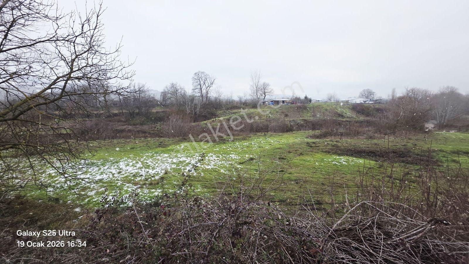 Alibey Köyde Fırsat Tarla 3.290 M² - Görsel 6