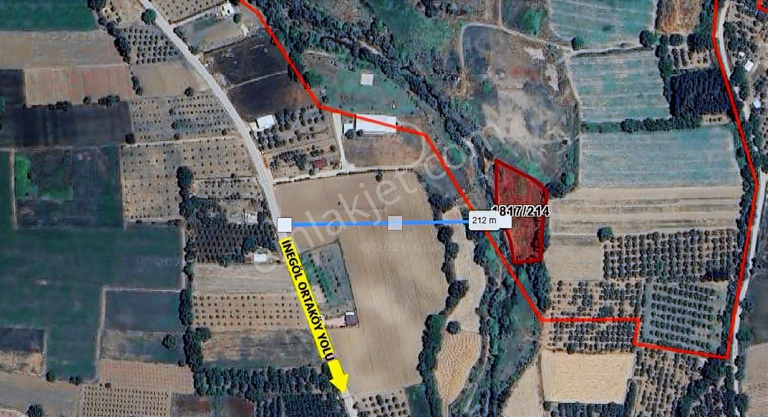 Alibey Köyde Fırsat Tarla 3.290 M²