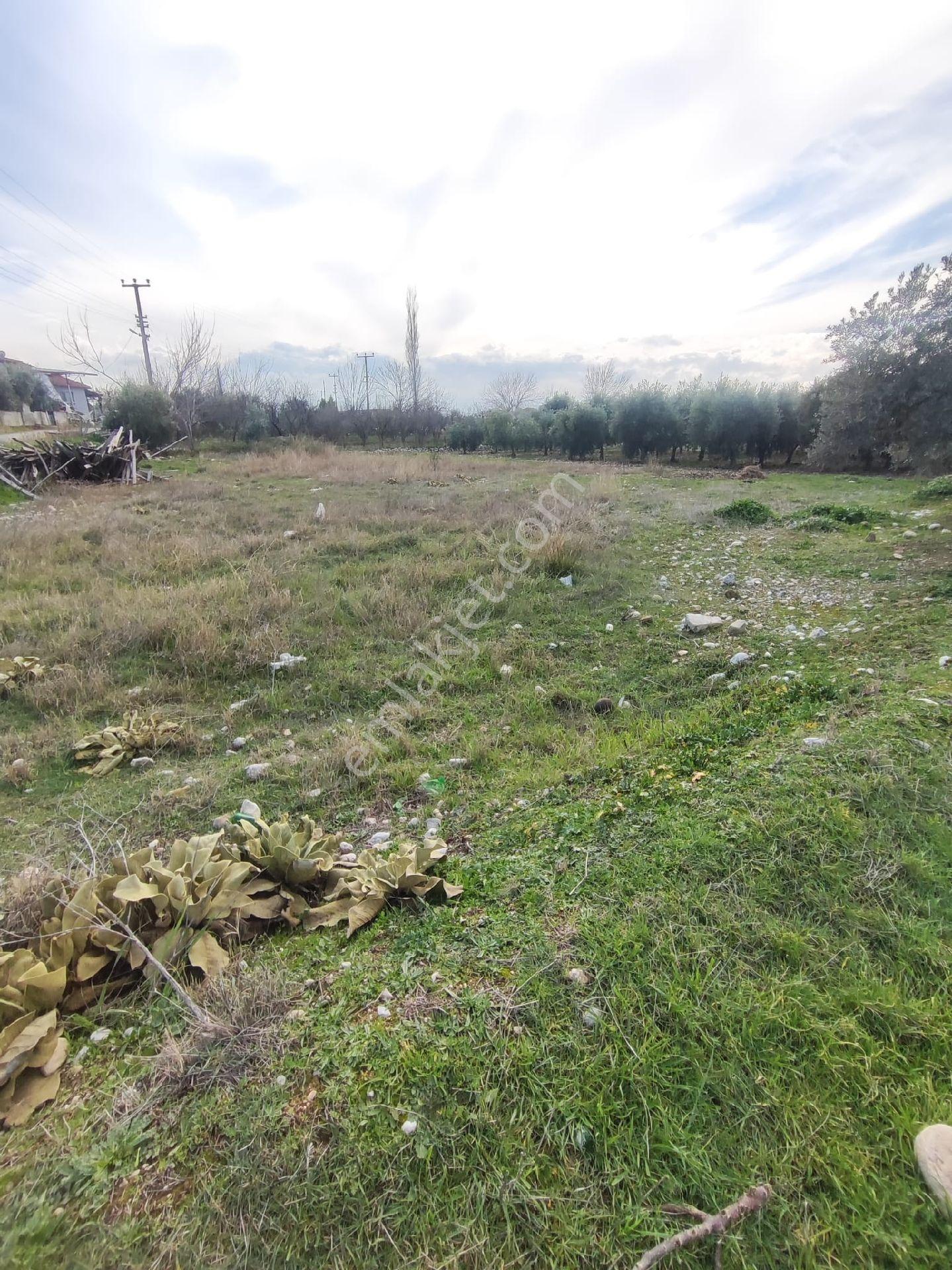 Irlıganlı Mevkisinde B+3 800 M2 Satılık Arsa - Görsel 2