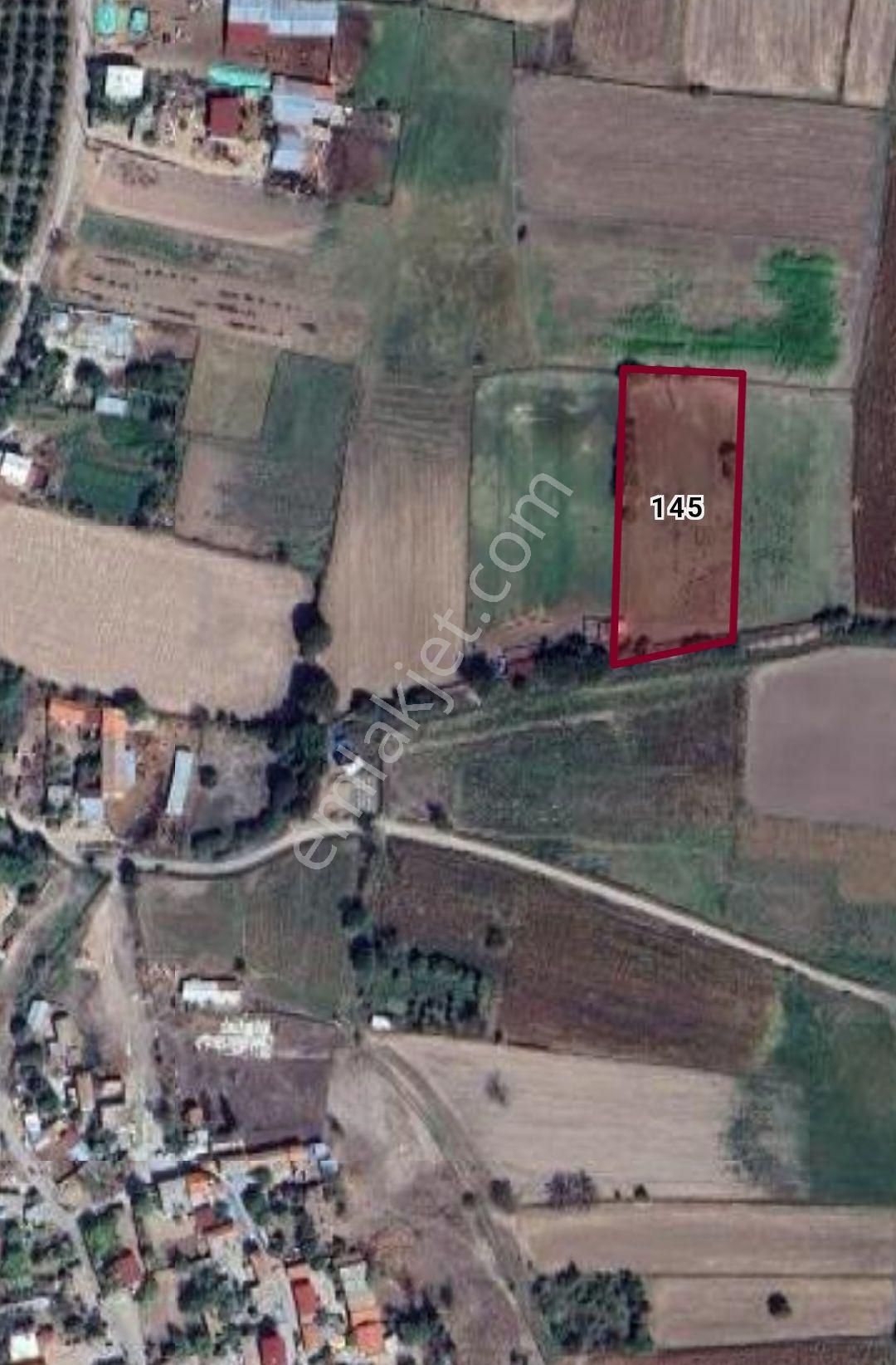 Ezinede 4 Dönüm Tarla