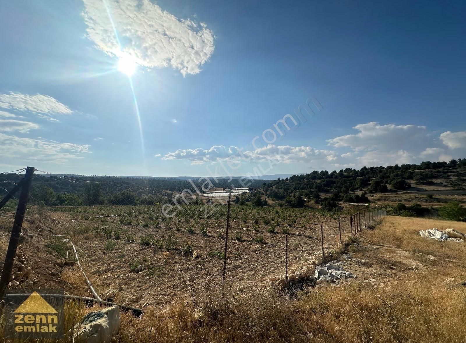 Mersin Erdemli'de Satılık 934m² Aronya Bahçeli Tarla - Görsel 2