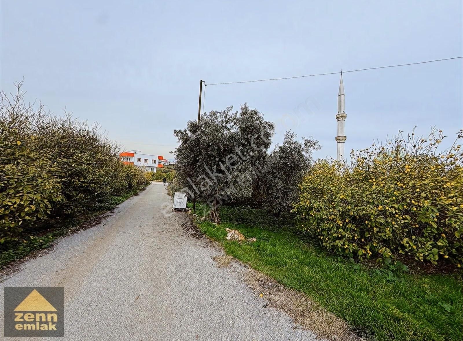 Erdemli'de Satılık Deniz Manzaralı 2400m² Tarla - Görsel 10