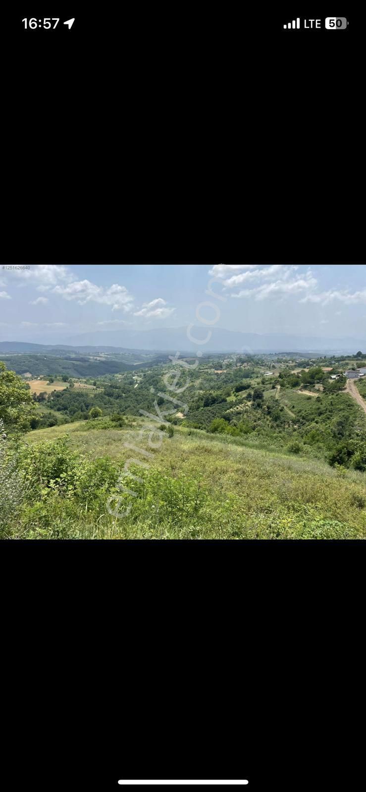 Kocaeli İzmit Zeytinburnu'nda 4 Dönüm Arazi 4950000 - Görsel 3