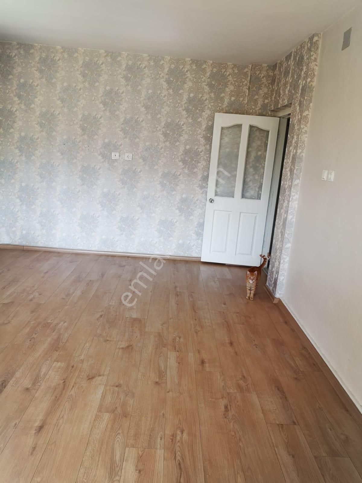 Adana Gürselpaşa İzzet Beğoviçe 3 Dakika Yürüme Mesafesinde İçi Yenilenmiş Kiralık Müstakil Ev - Görsel 17