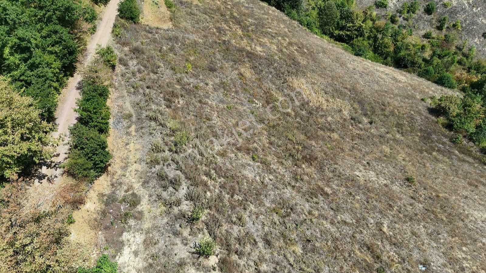 Kocaeli İzmit Zeytinburnu Mevkiinde 7 Dönüm Arazi 56.00000 - Görsel 2